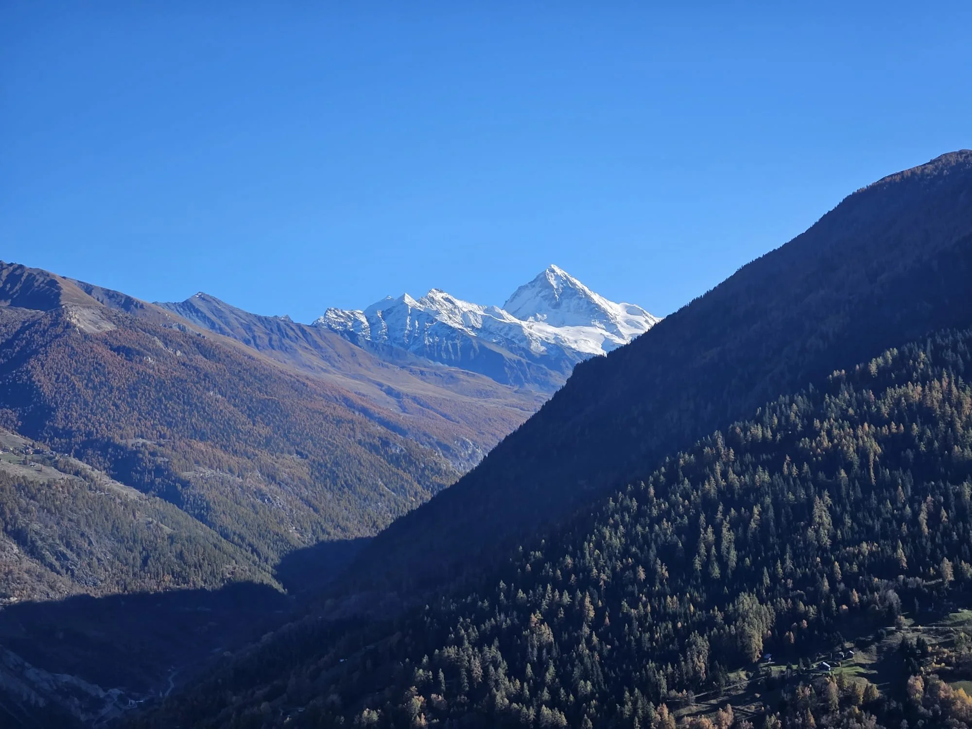 Van Dramadriehoek naar Droomdriehoek: Een Nieuwe Taal voor Liefde, Verlangen en Intimiteit
