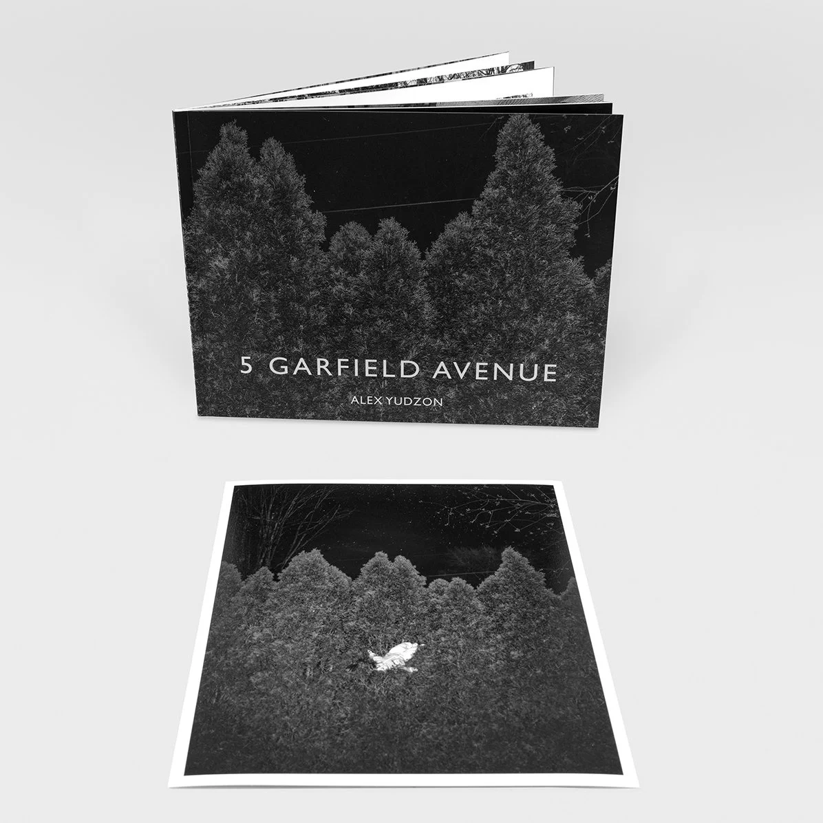 5 Garfield Avenue