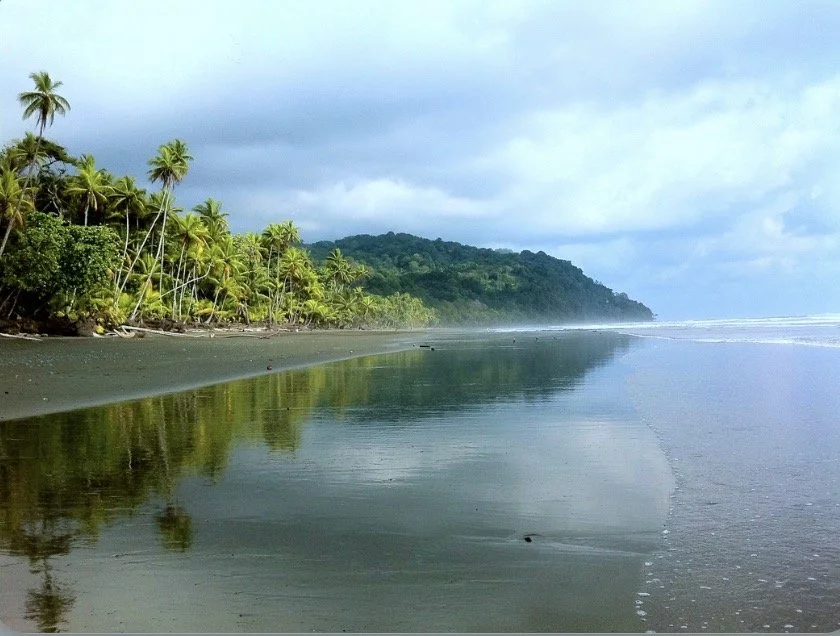 Tropical beach with palm trees, calm water, and a cloudy sky.