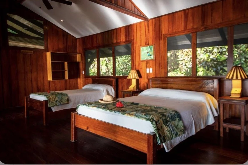 Room with two beds, wooden walls, windows showing greenery outside, bedside lamps, and tropical decor items.
