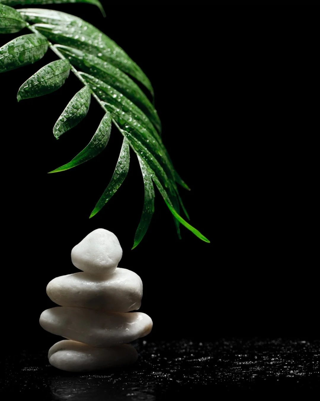 Stacked white stones placed on a black surface with green leaves hanging above, with water droplets on the leaves.