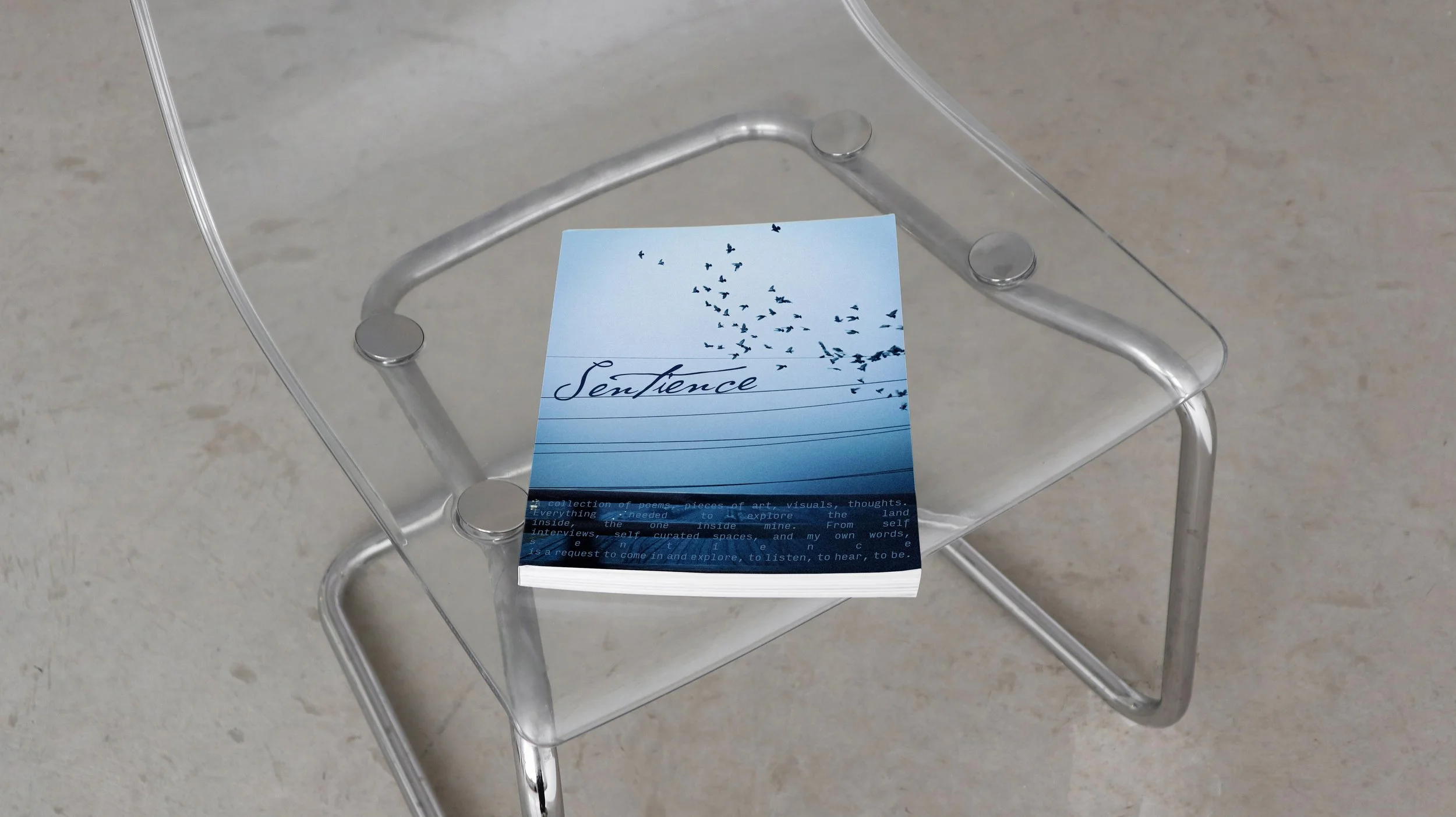 Book Cover.jpg