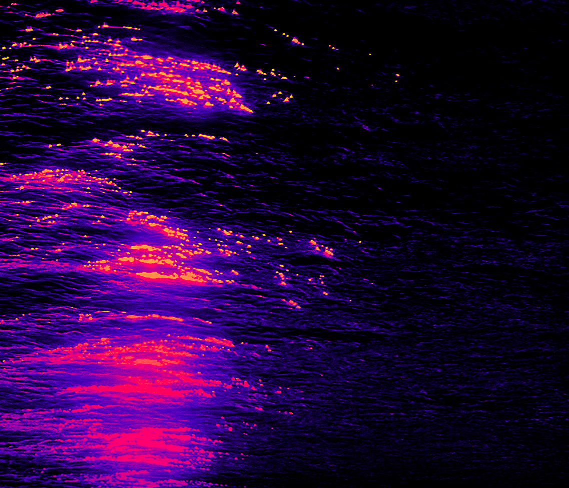 Screenshot 2026-02-13 at 10.48.03.png