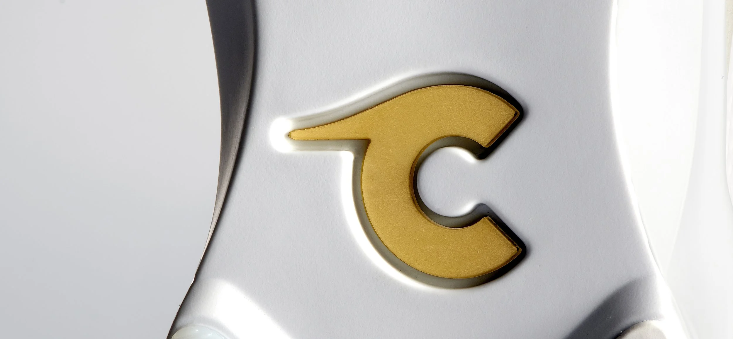 sole horizontal crop 2.jpg