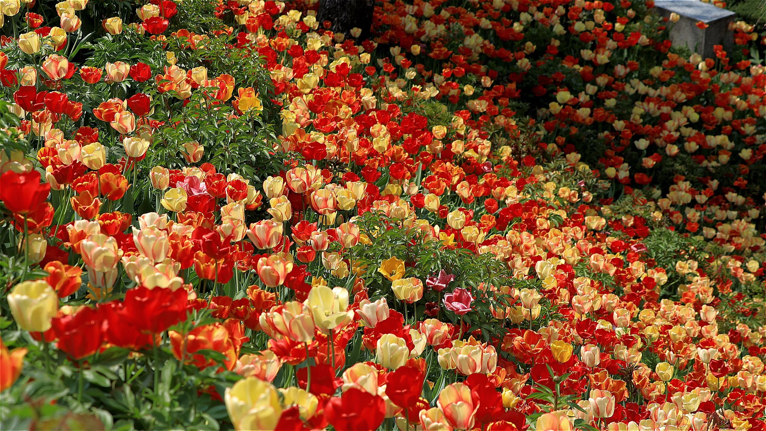 Im April eröffnen diese LaGas