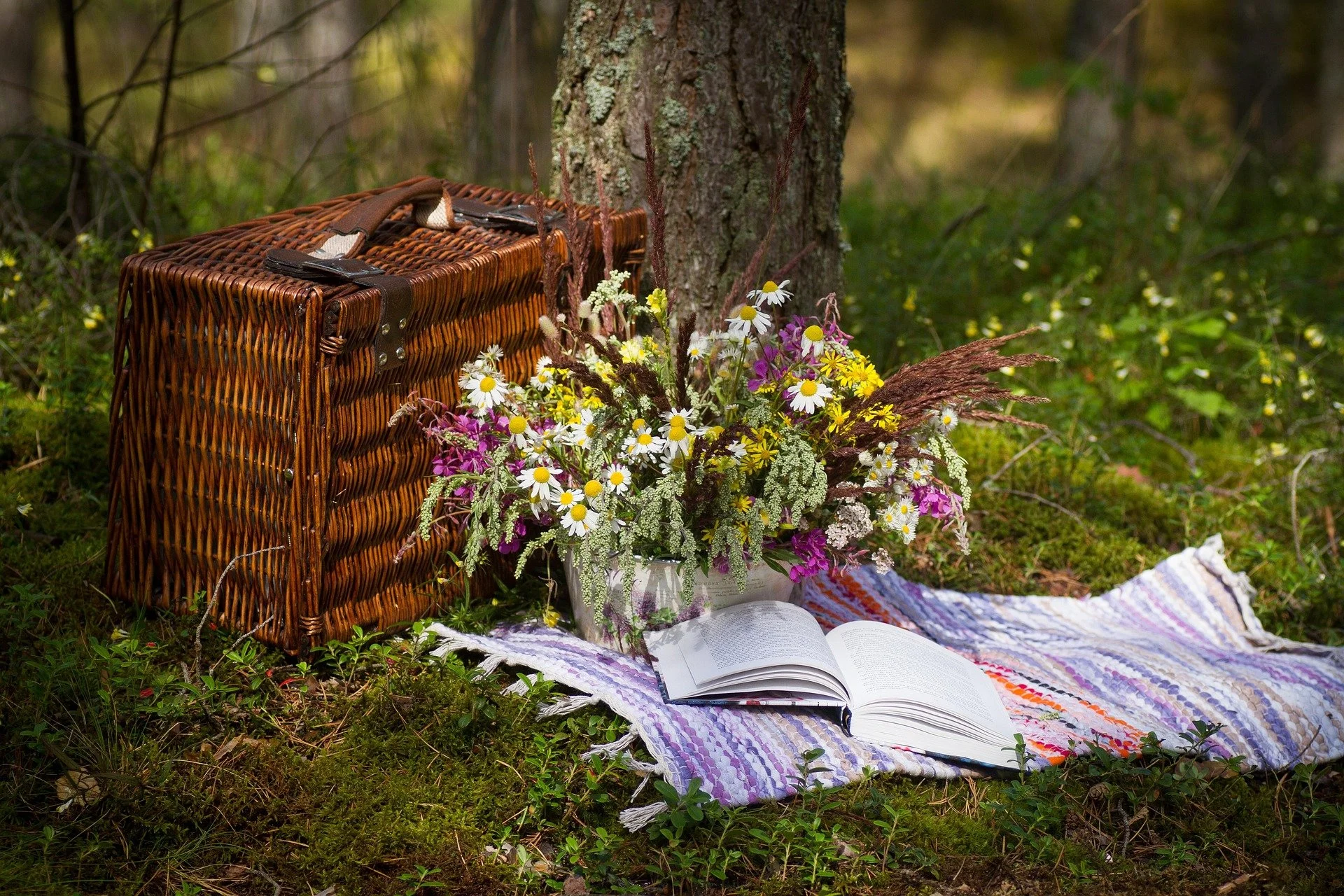 BUGA31 beim IGA Picknick 2027 dabei