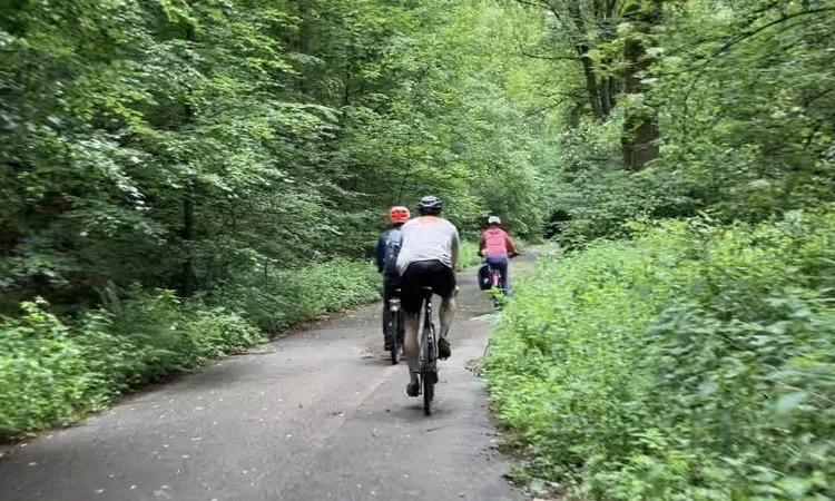 Das Bild zeigt drei Radfahrende, die einen Berg herunterfahren. Der Weg ist von Bäumen gesäumt.