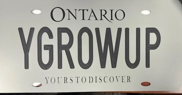 Replica Ontario License Plate GreyBlack - Pl8master.jpeg
