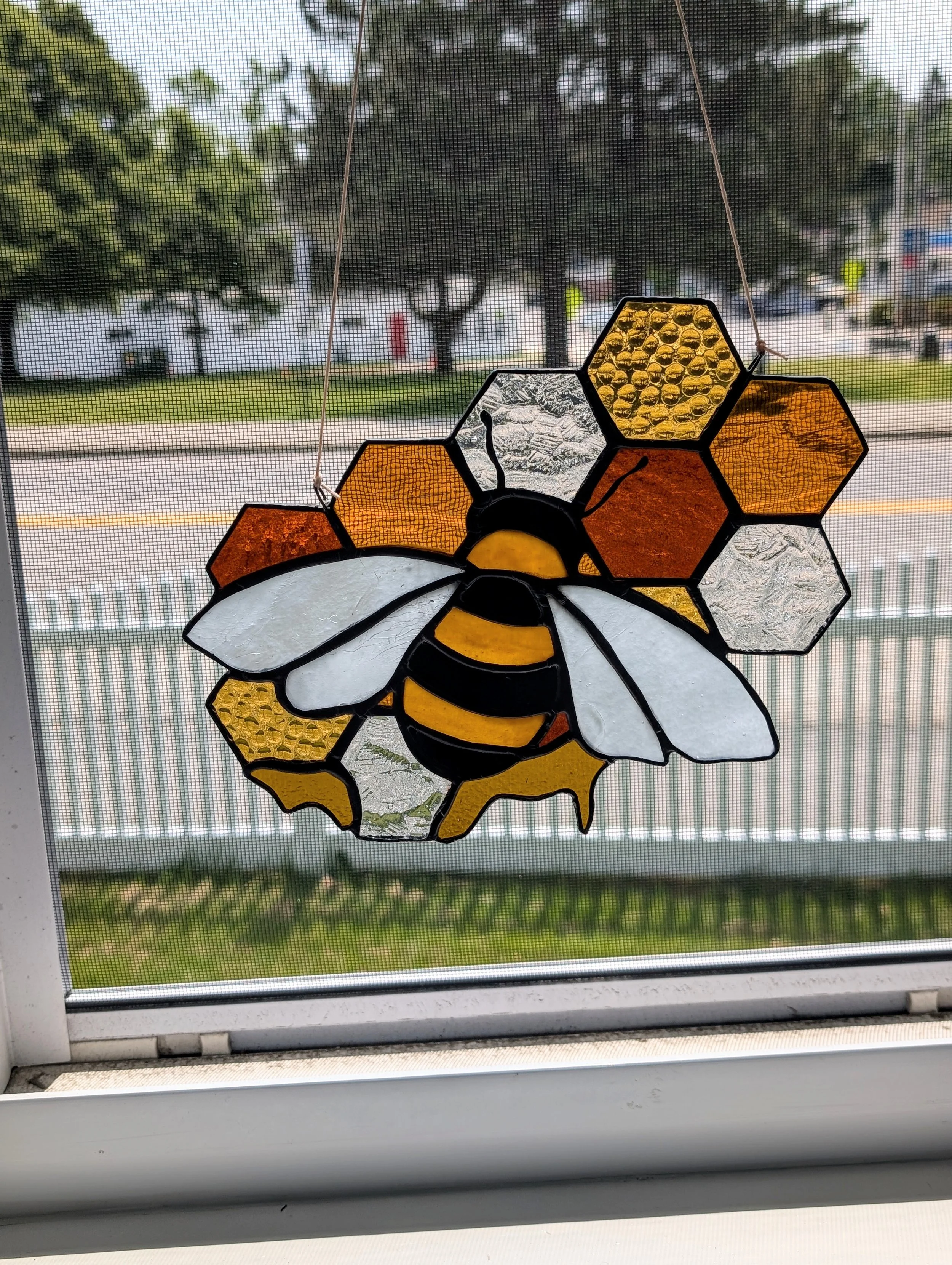Honeycomb Bee