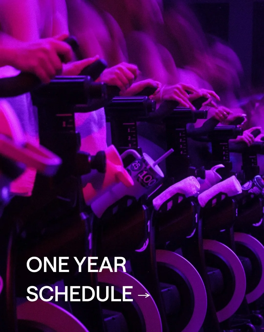 Our One Year is just around the corner. Book your bikes and rsvp to the party (link in bio). ⁠
⁠
We can&rsquo;t wait to see you there 🪩