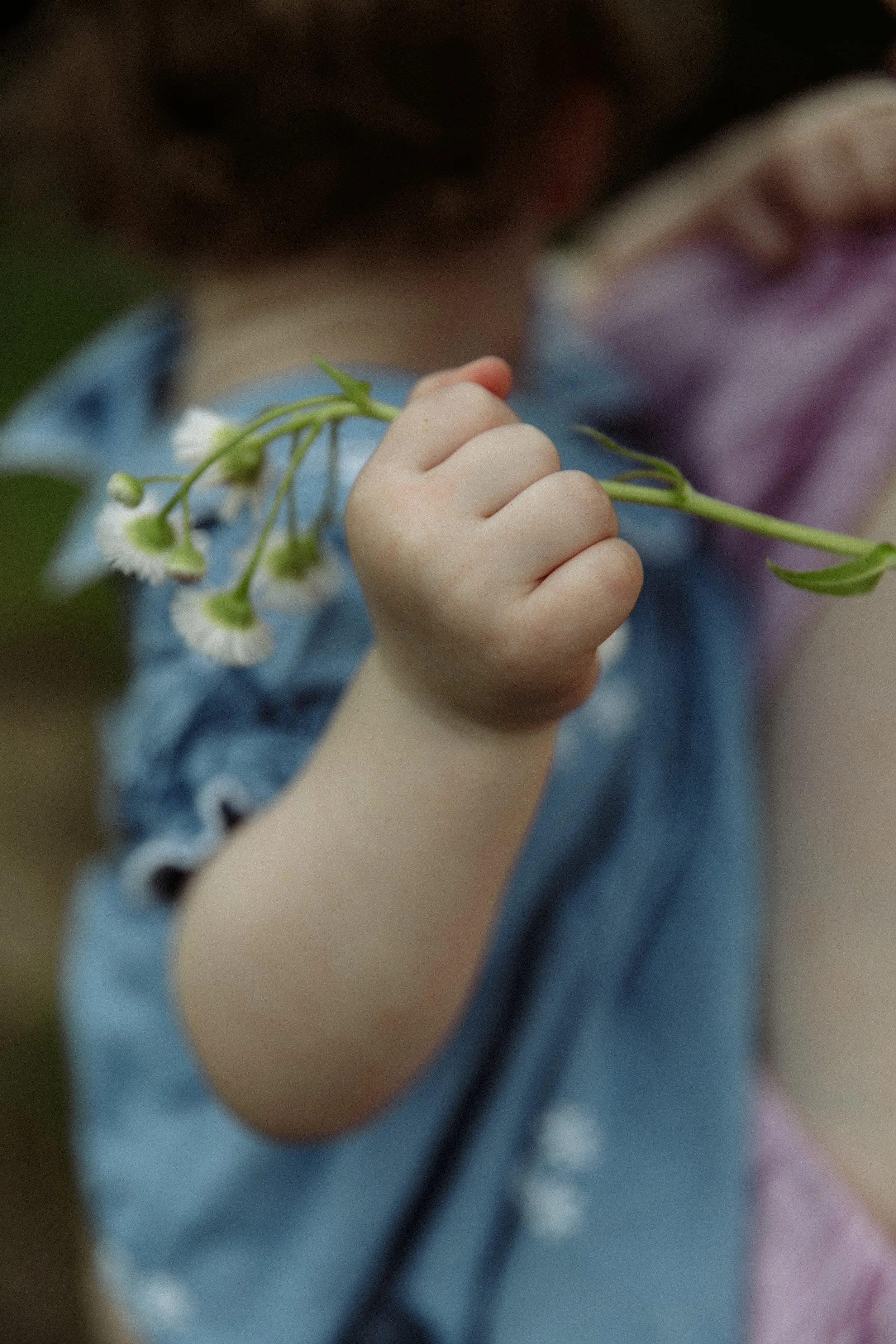 Family Motherhood - Tara Whited Photography-4.jpg