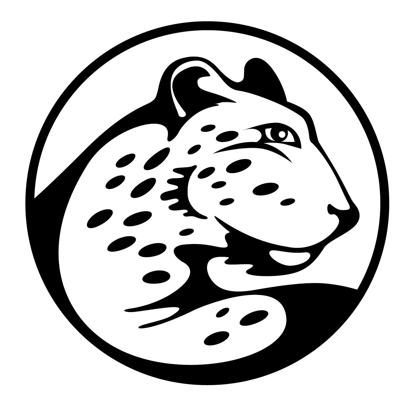 Johnson Learning Leopards 06292016-01.jpg