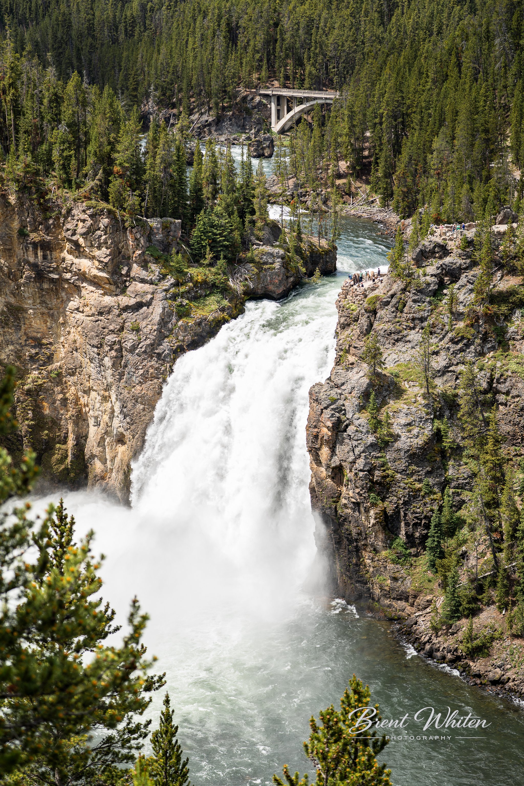 A waterfall in a forested area with a bridge above it, surrounded by tall green trees.