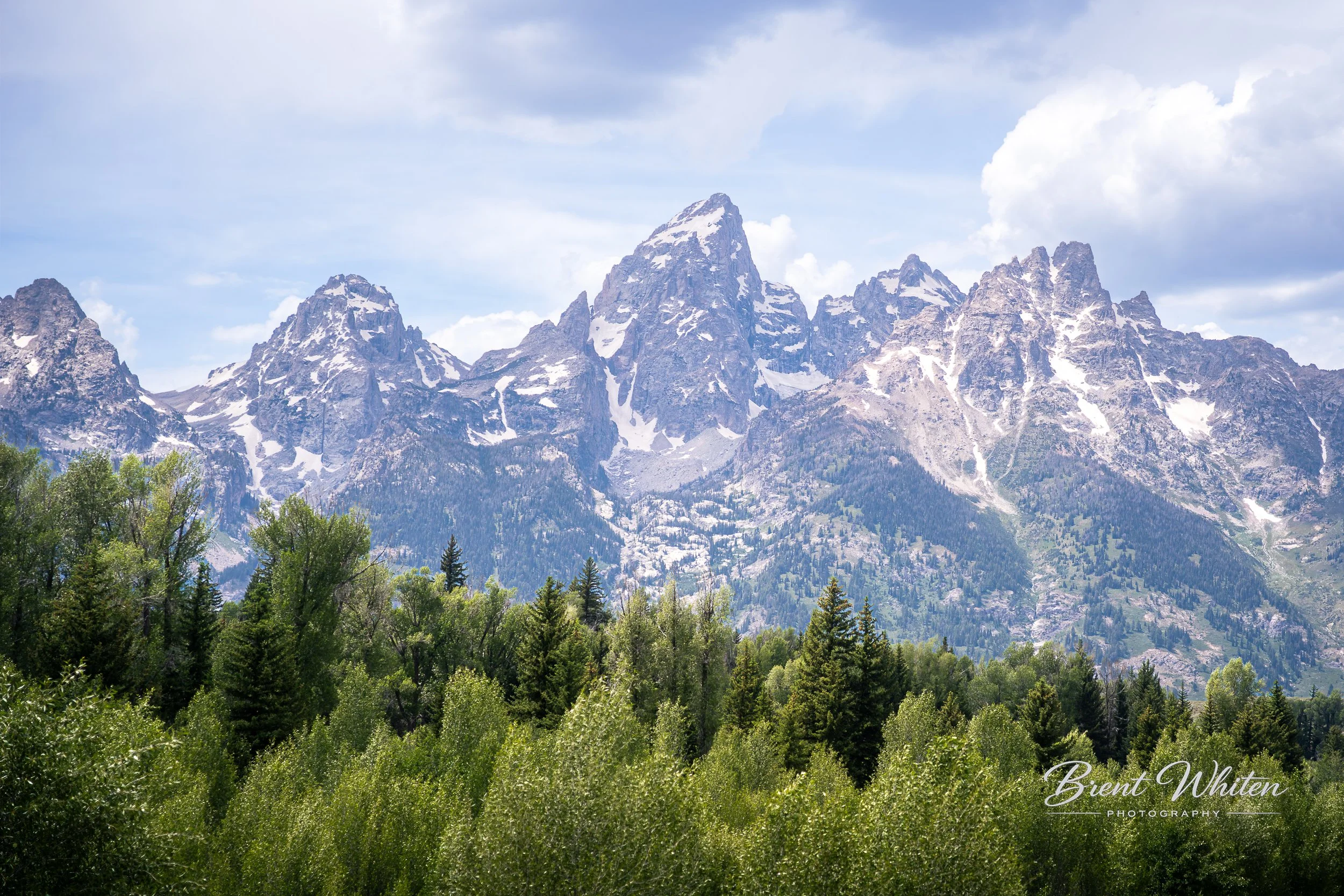 A mountain range with snow-covered peaks and a forest in the foreground under a partly cloudy sky.