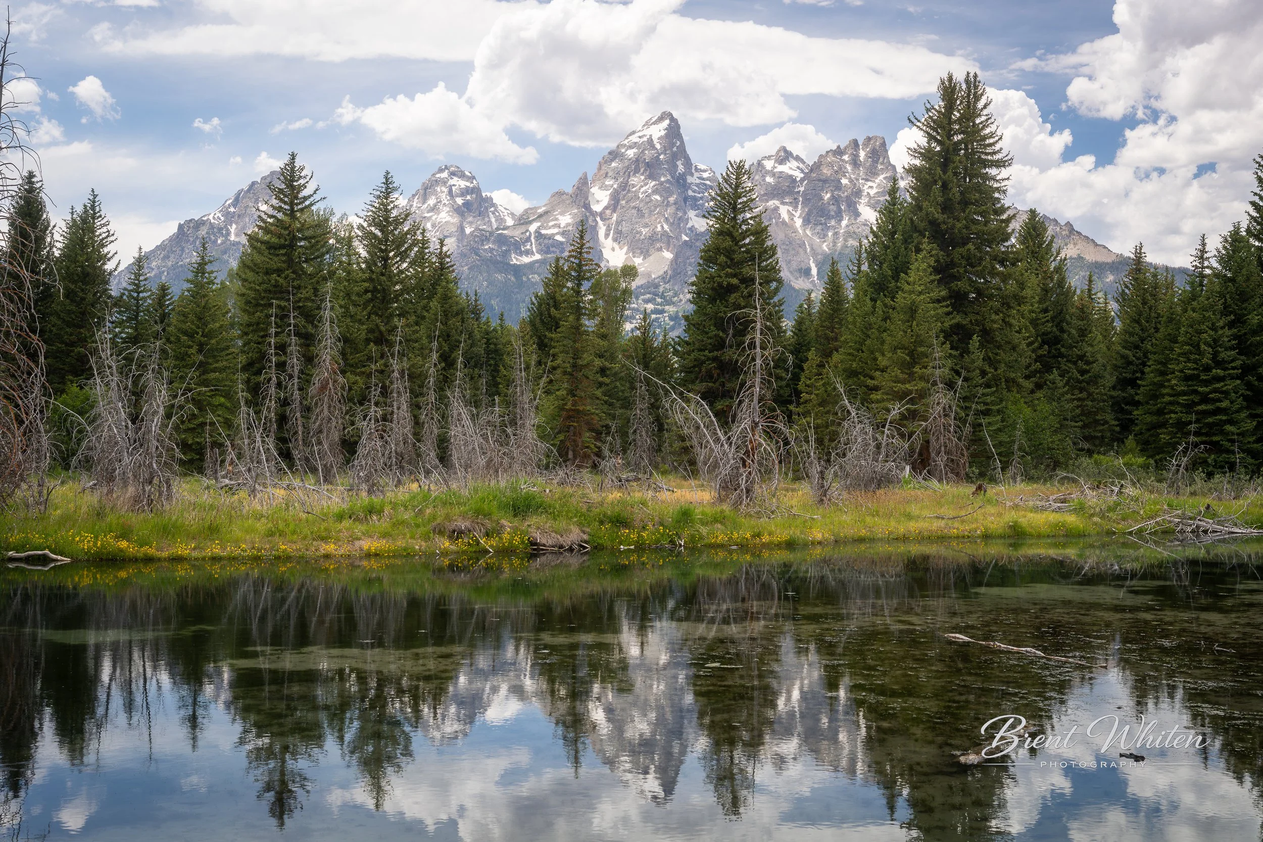 Mountain range with snow-capped peaks, pine trees in foreground, and reflection in calm water.