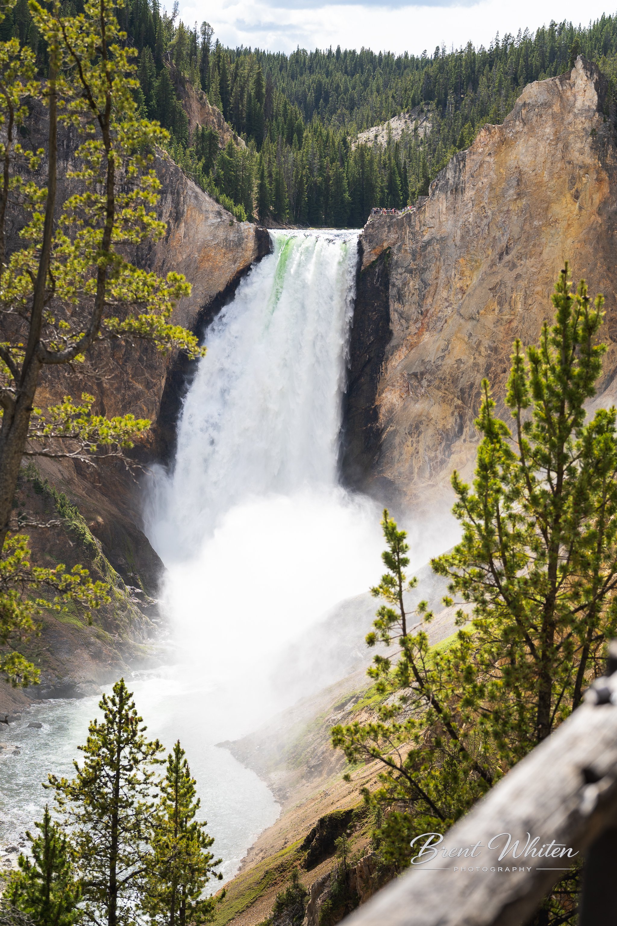 A scenic view of a waterfall cascading between rocky cliffs surrounded by dense green forest, with trees in the foreground and a partly cloudy sky above.