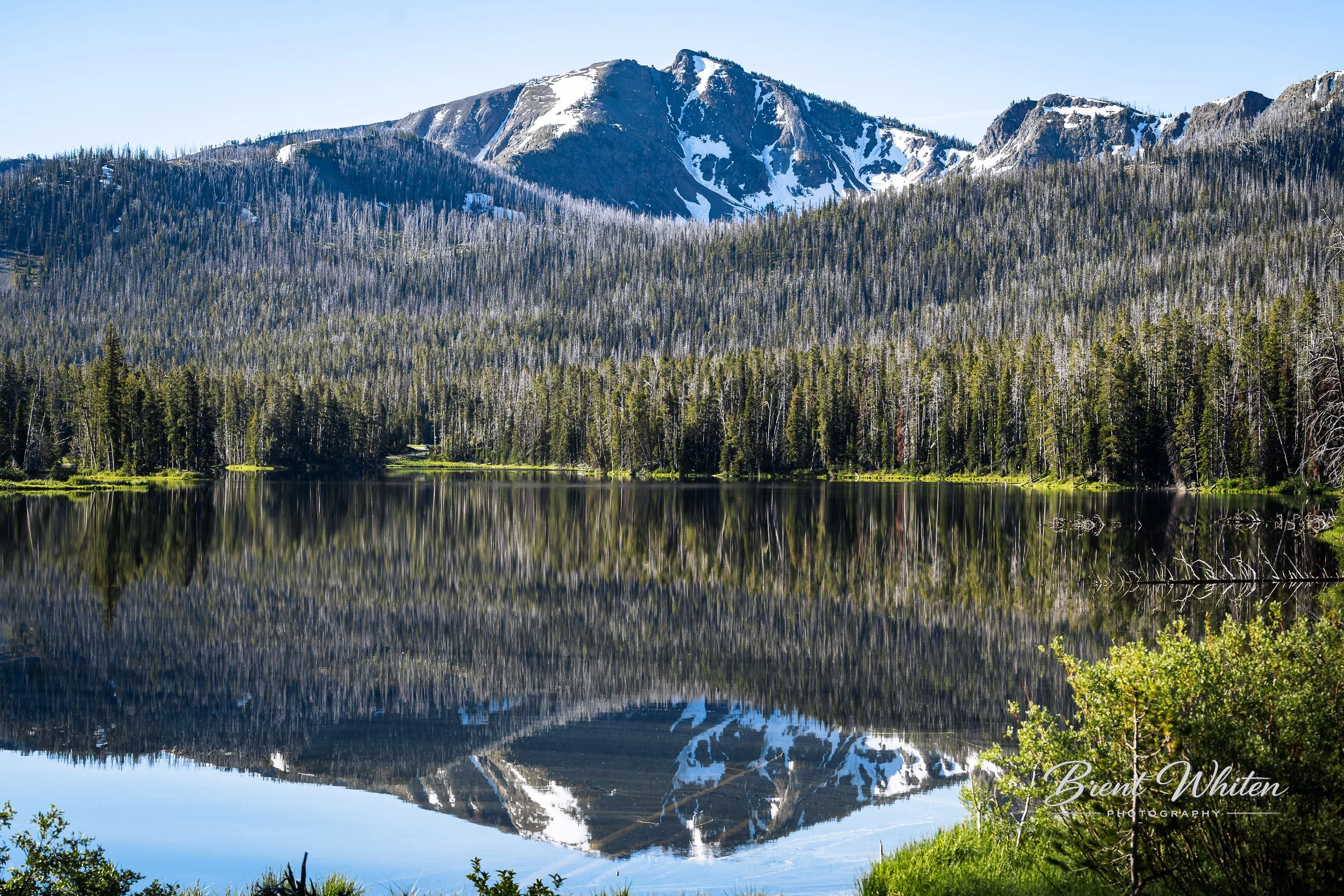 A serene mountain landscape featuring a snow-capped mountain reflected in a calm lake surrounded by a dense forest of evergreen trees. Bright, clear sky above.