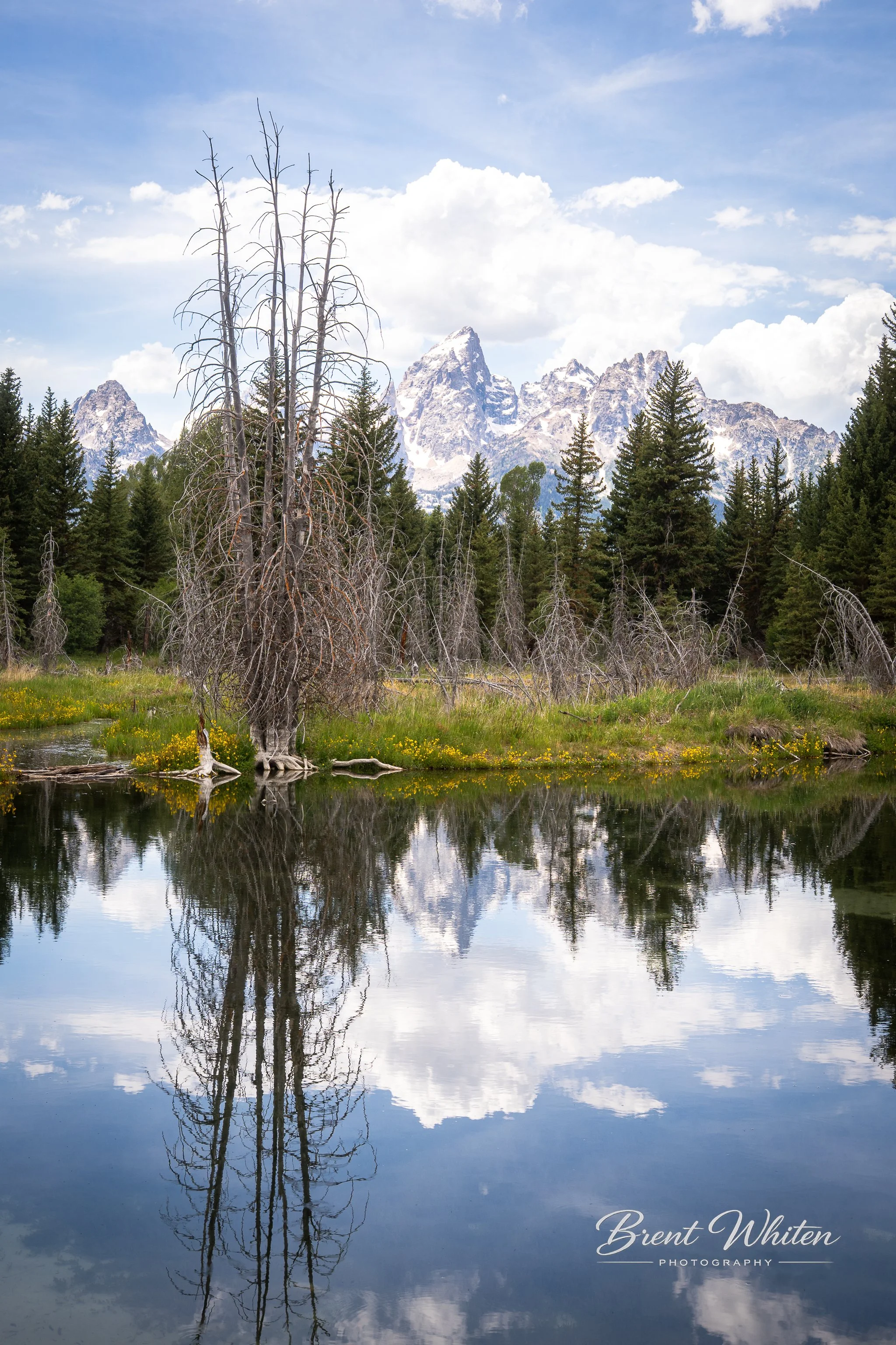 Reflection of leafless trees and mountains with snow in a calm body of water under a cloudy sky.