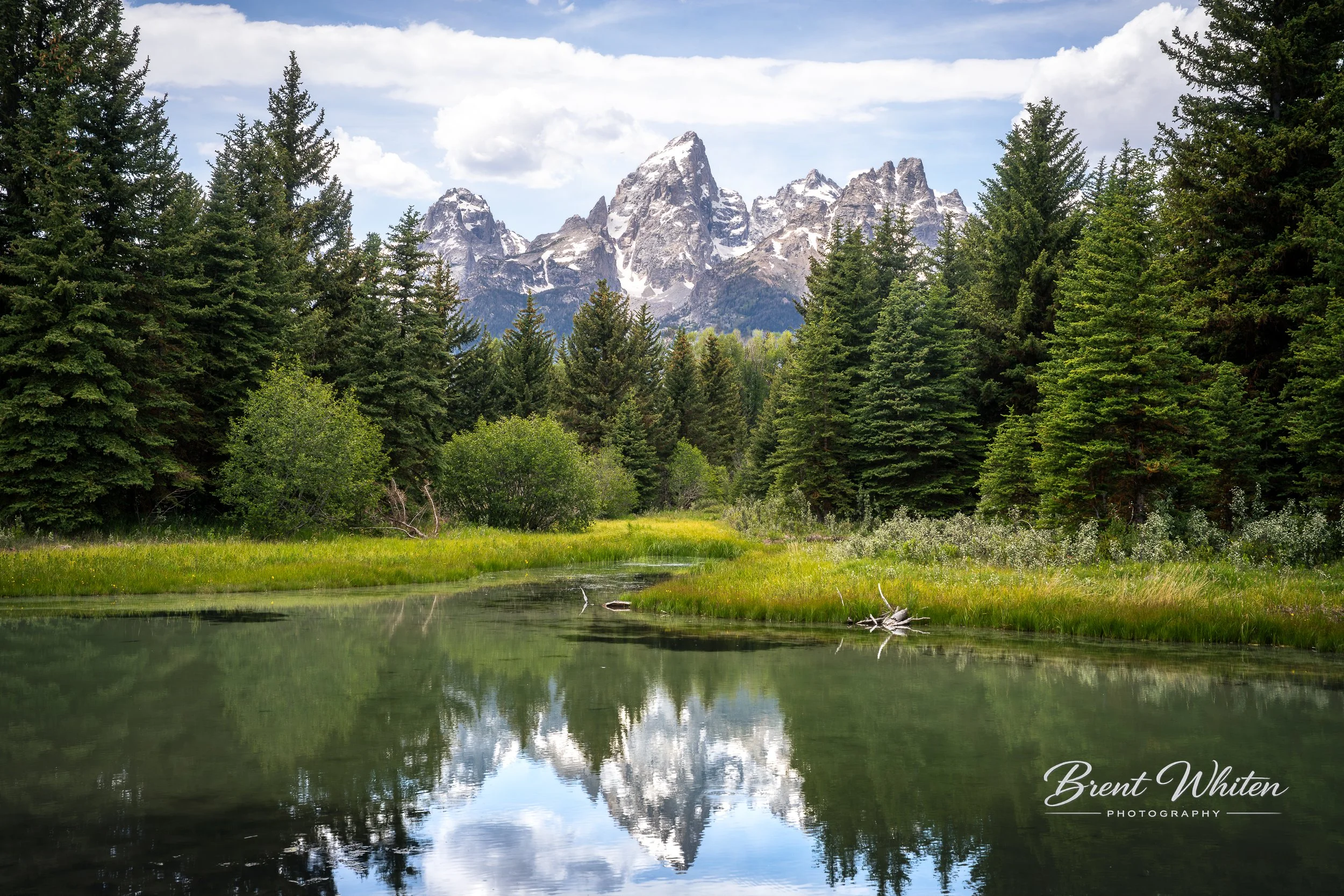 A scenic landscape featuring tall evergreen trees surrounding a calm lake with reflections of snow-capped mountains and a partly cloudy sky.