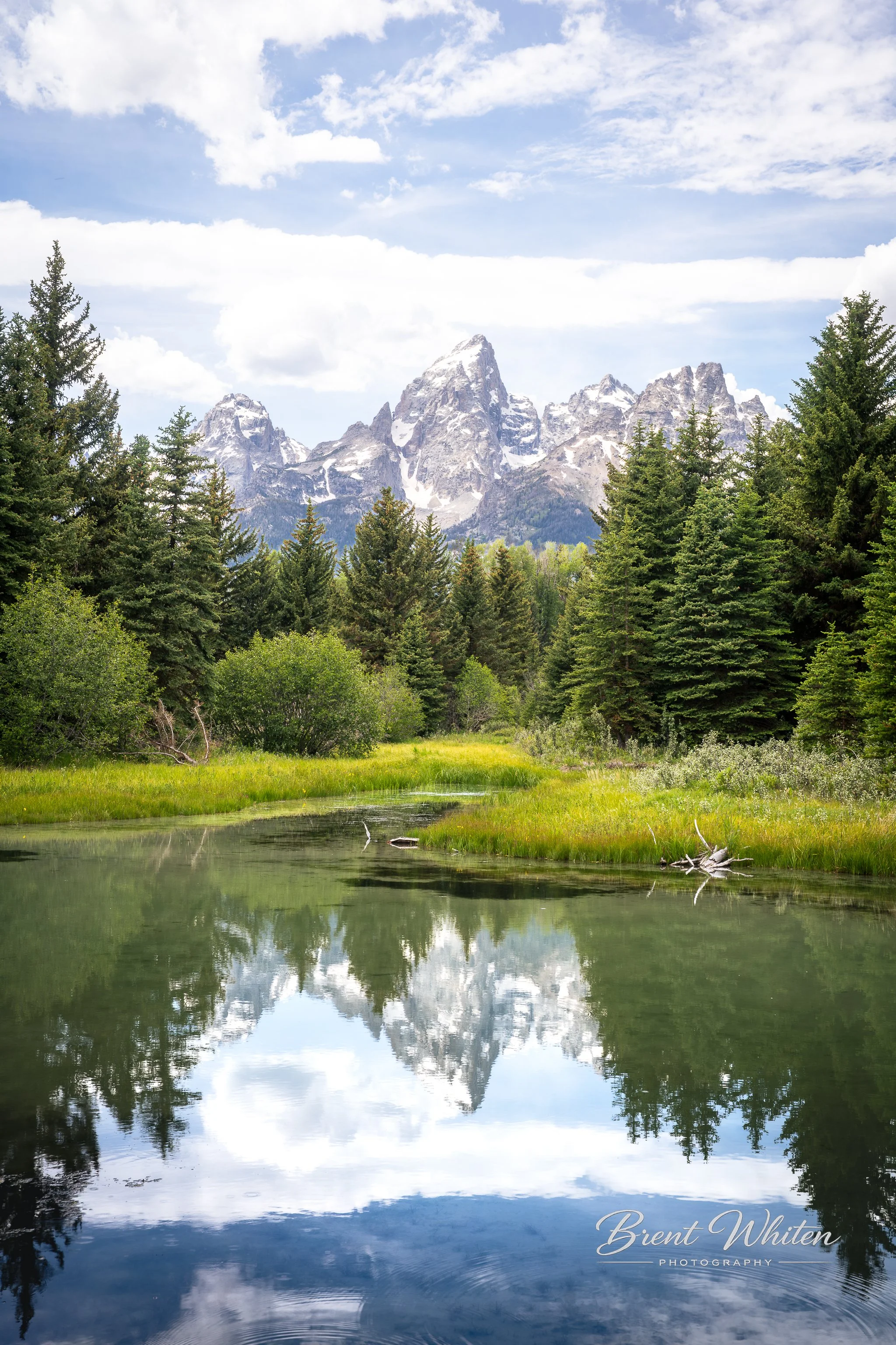 Mountain landscape with snow-capped peaks, a blue sky with clouds, lush green trees, and a reflective body of water in the foreground.