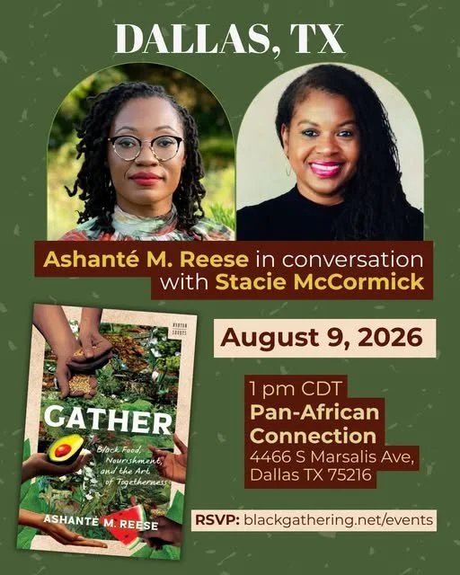  Ashanté M. Reese in Conversation with Stacie McCormick
