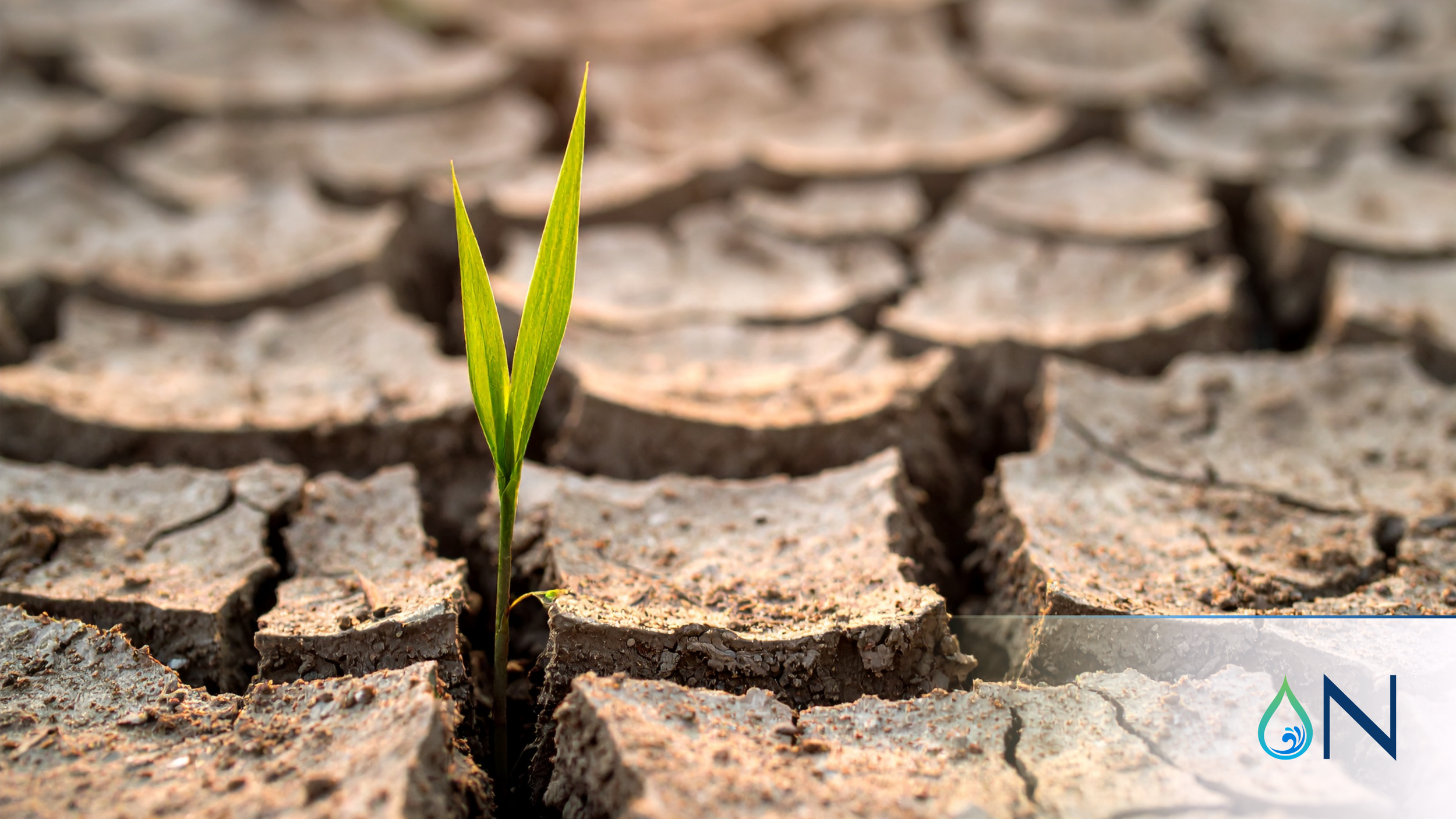 April 2026 Water Restrictions Update for Tampa Bay Area