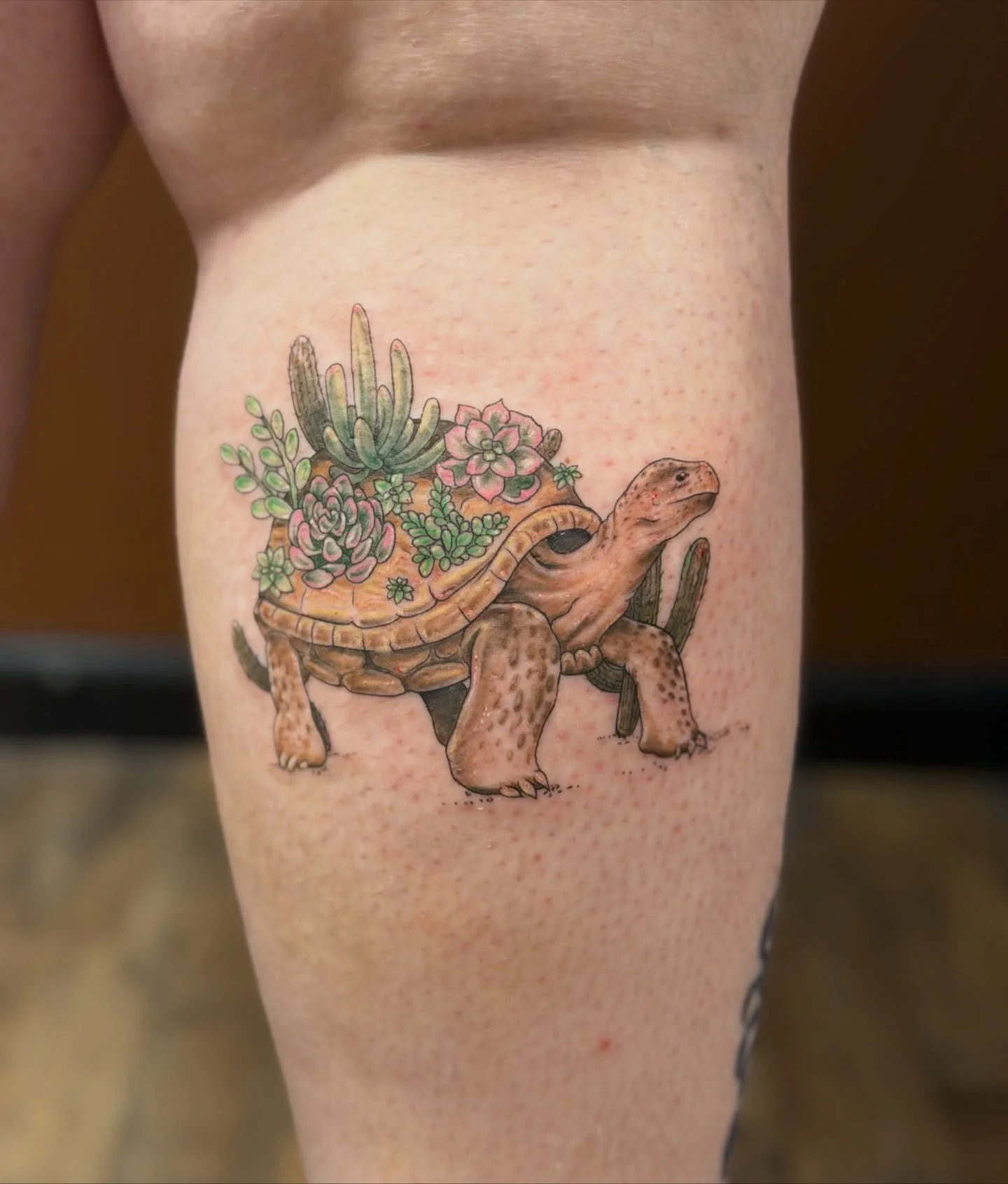 A desert tortoise with cacti and succulents for Tab!🐢🌱 This was so fun to do!

I have limited November availability left!! Also booking for December and January! Fall/Winter are great times to get tattooed since they won&rsquo;t be exposed to the s