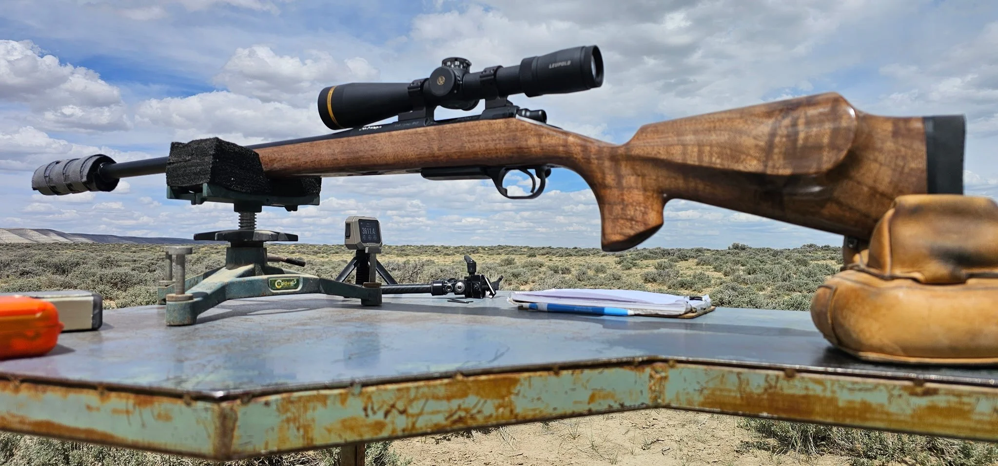 RDR_Custom_Hunting_Rifle.JPG