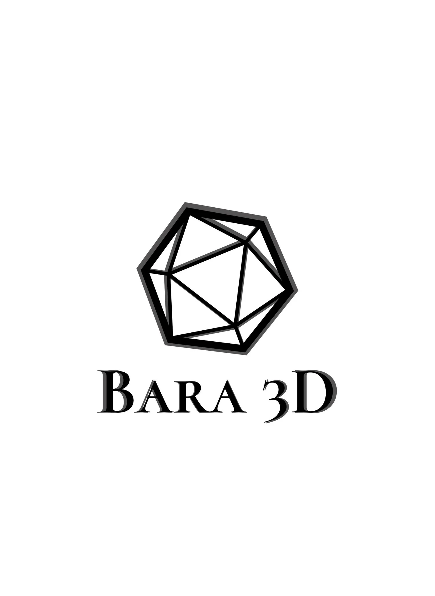 BARA 3D LLC