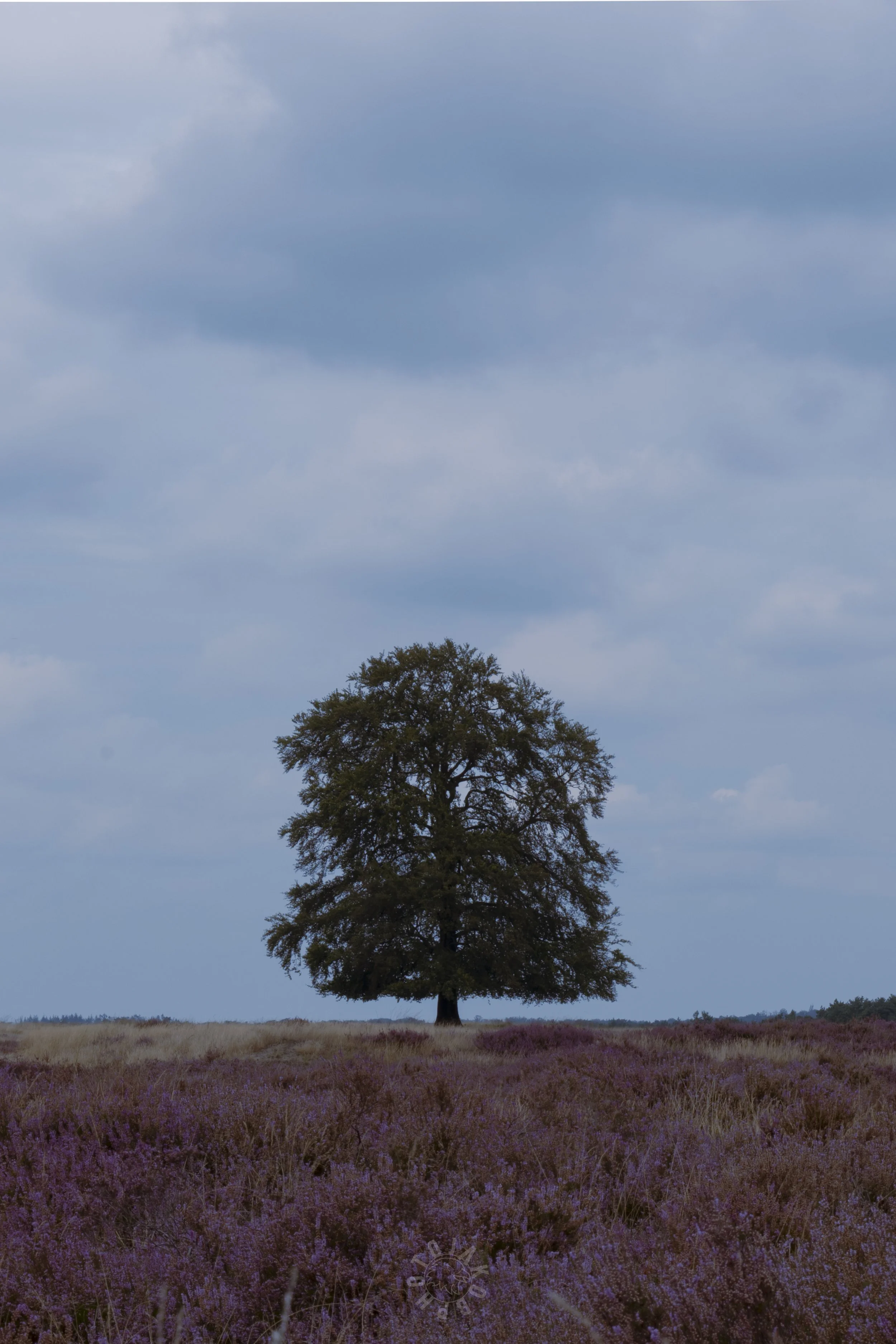 _JVK7344-HDR.jpg