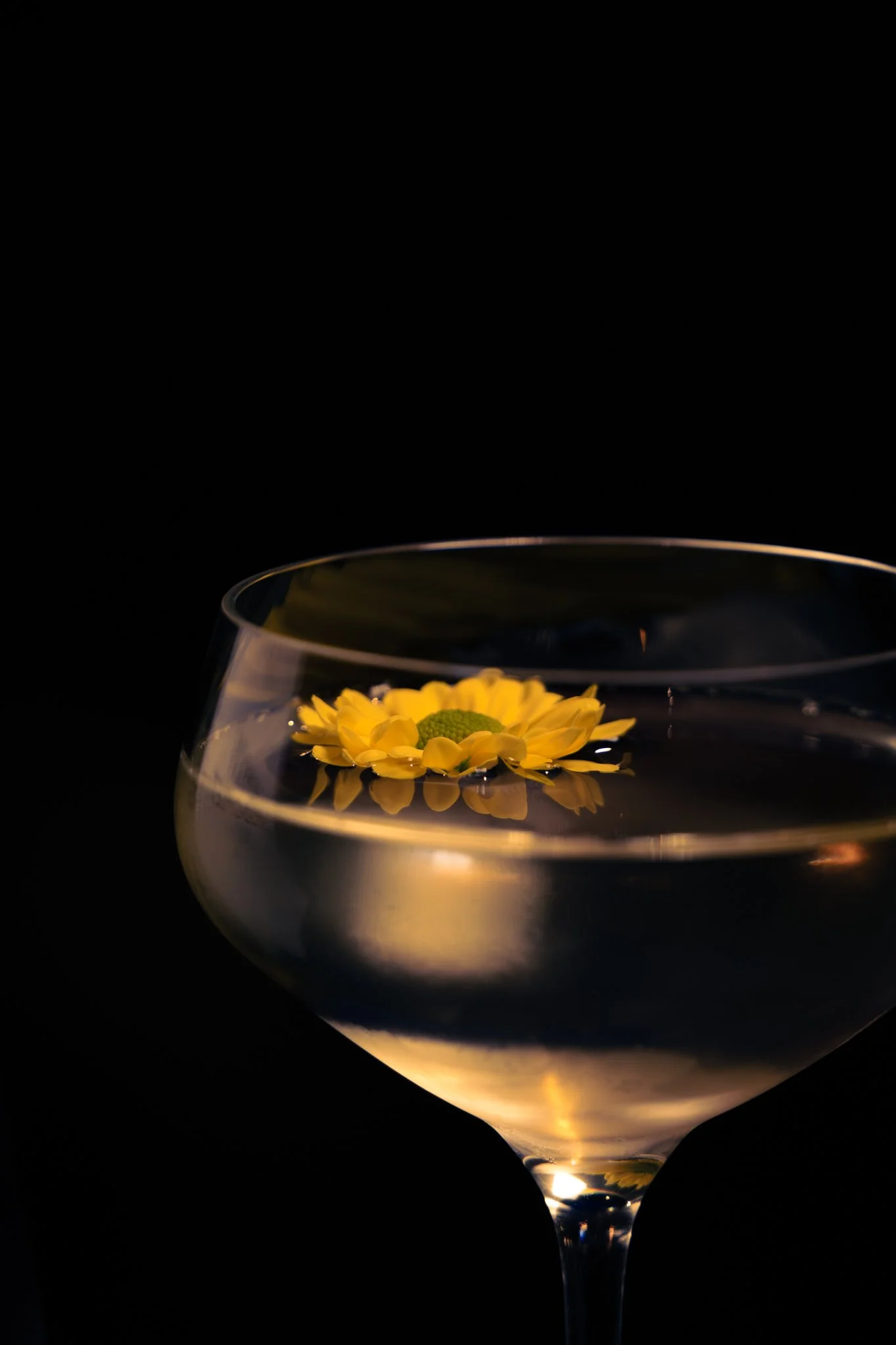 JVK_5138-Enhanced-NR-2.jpg