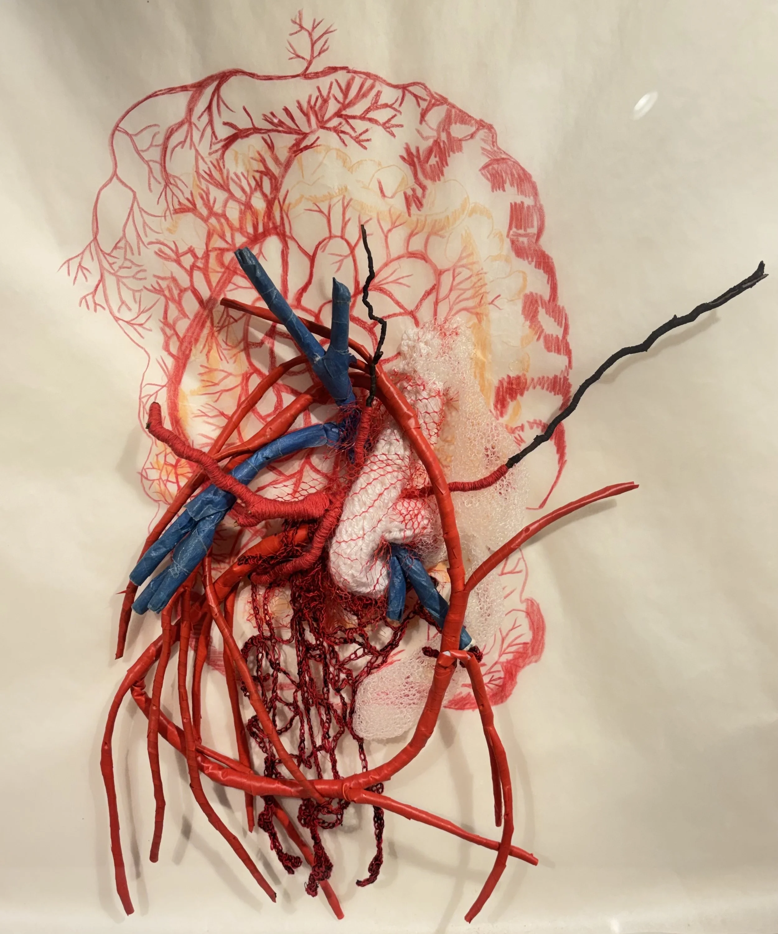 Fire #2: Intestine &amp; Veins, 2011, Ex-Votos Series, graphite, electric tape, masking tape, cotton thread, polyester fibers, fishing line, yarn and wood, 30 x 27 inches