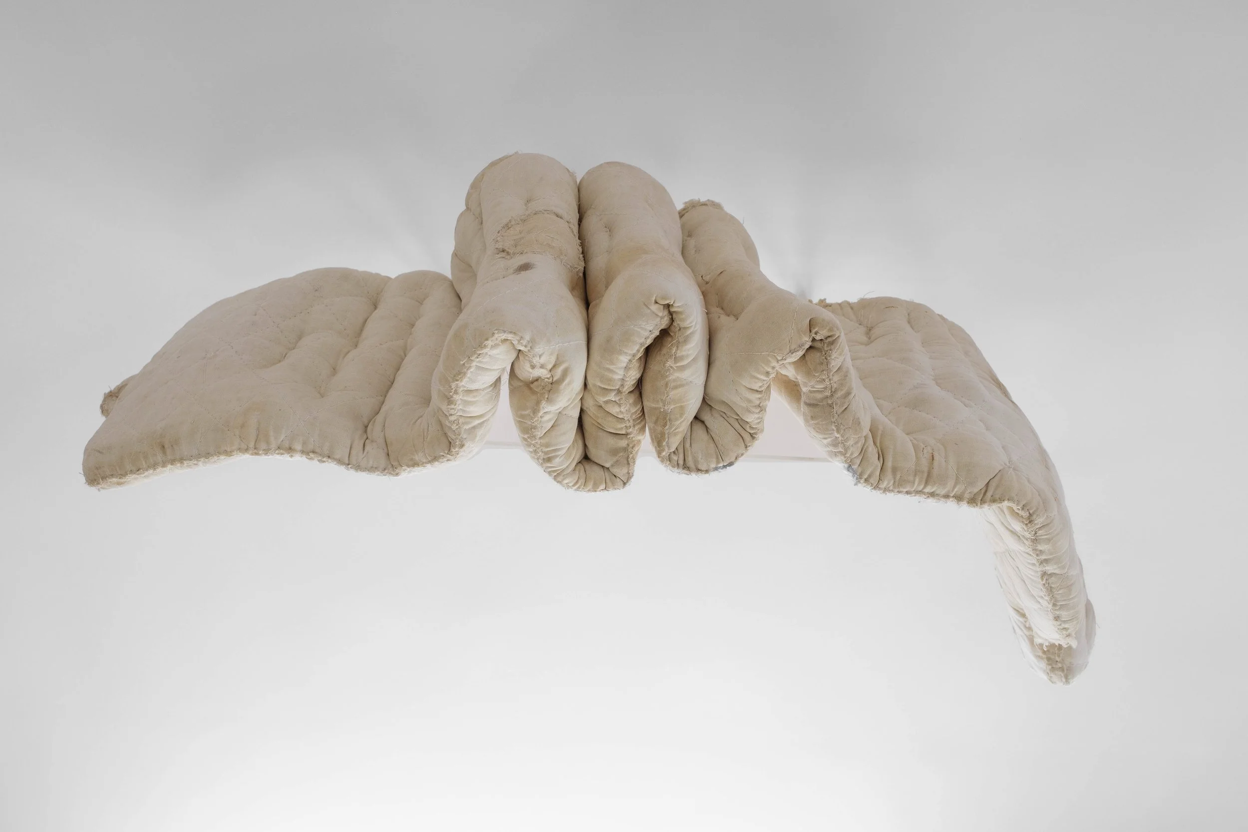     Foetal Folds, 2000-25, rubber, cotton, 9.5 x 22 x 13 inches