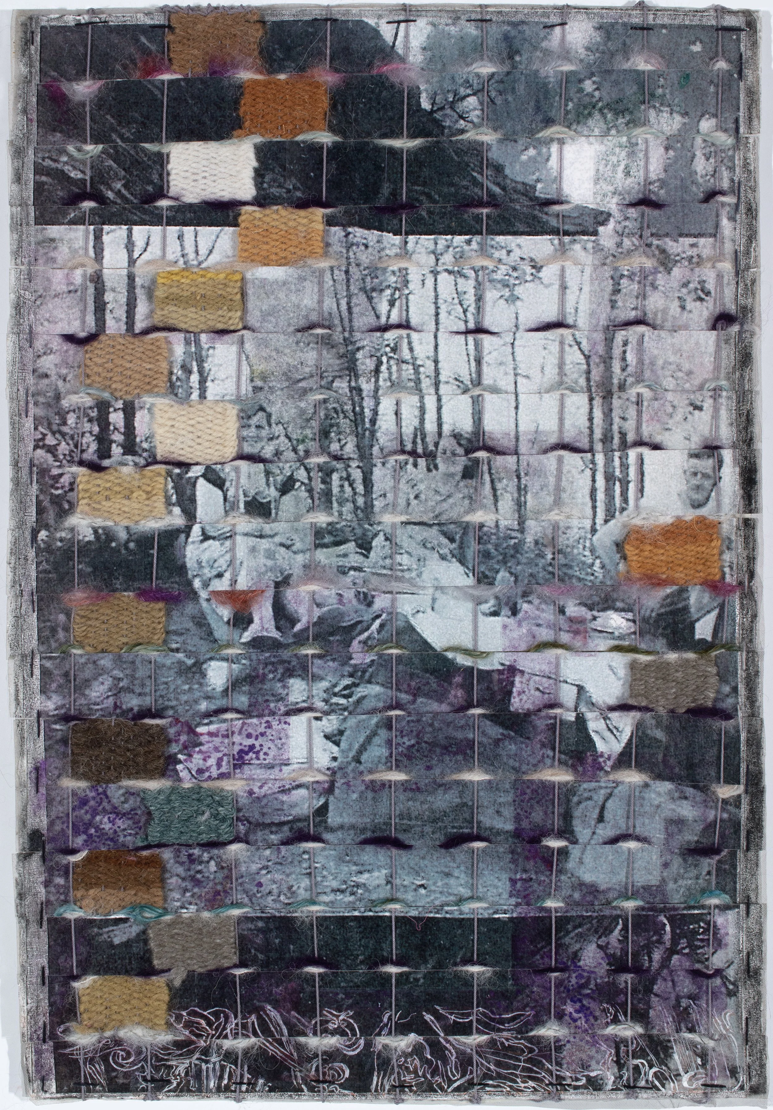 Lichens, woven mixed media with yarn dyed from nature, 17 x 11 inches, 1000. 