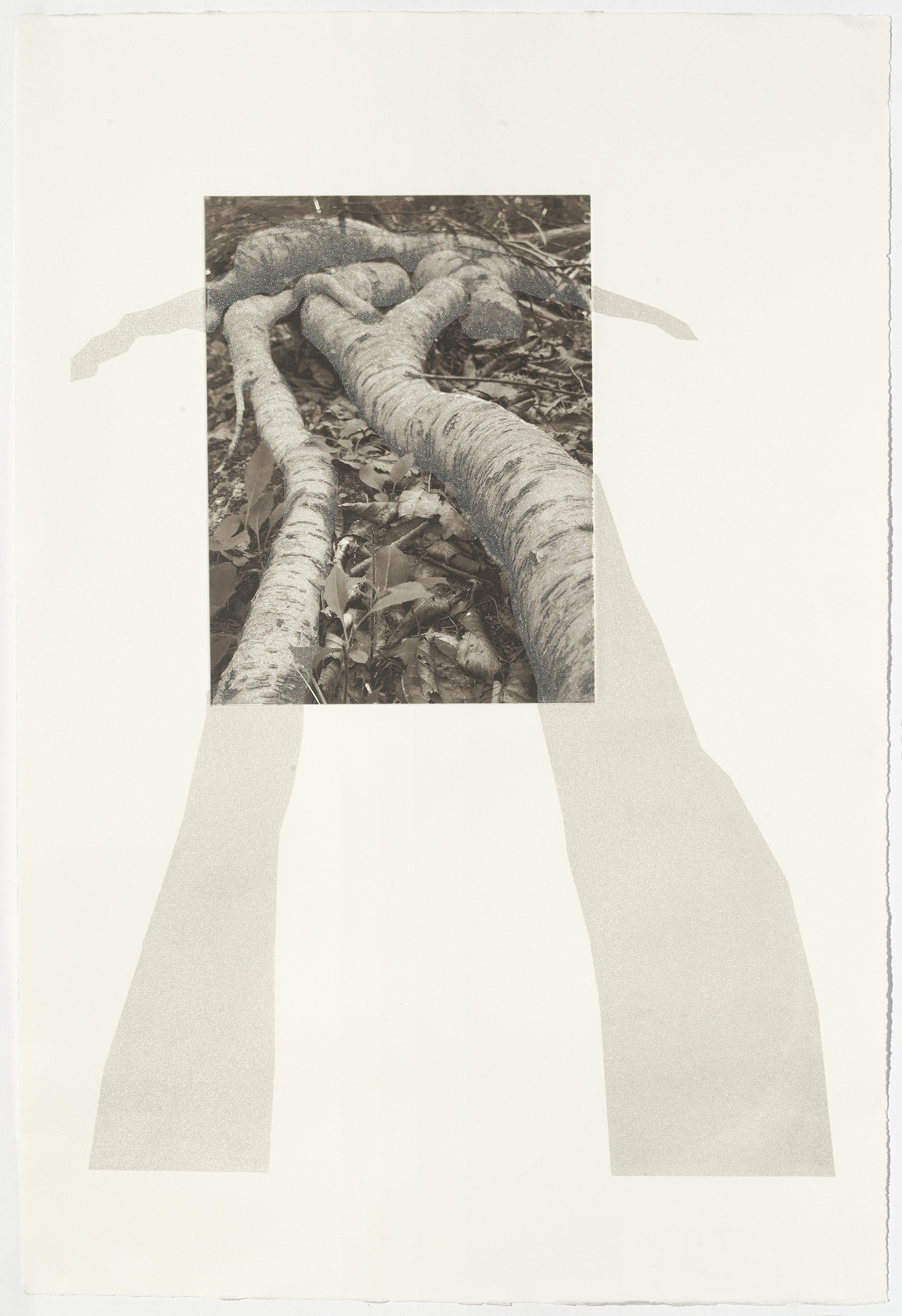Acadia 1, 22-1/2” x 15”, photogravure with screenprint, 2025