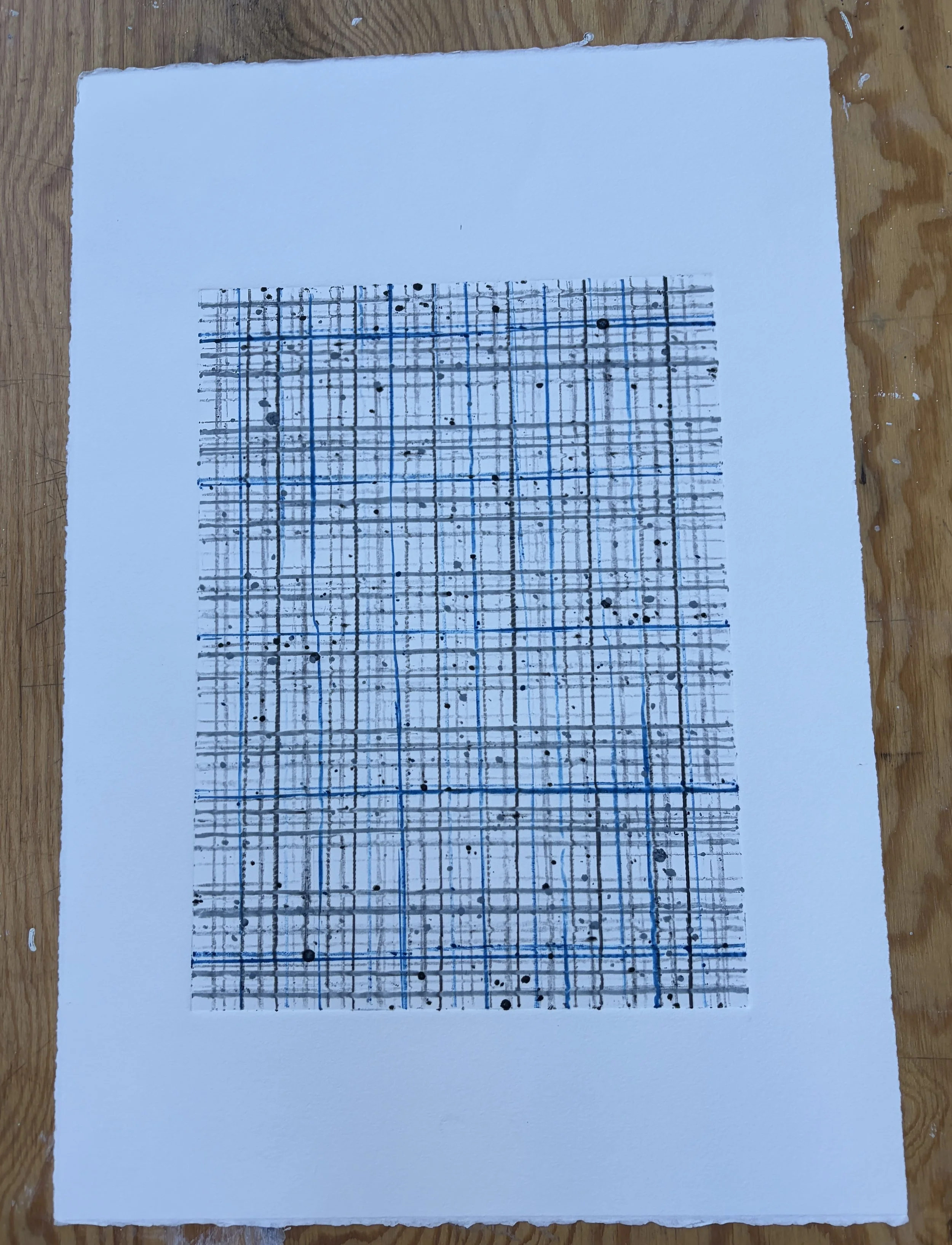 "Scattersall", 2016, 22.5 x 15" inches, 600. 