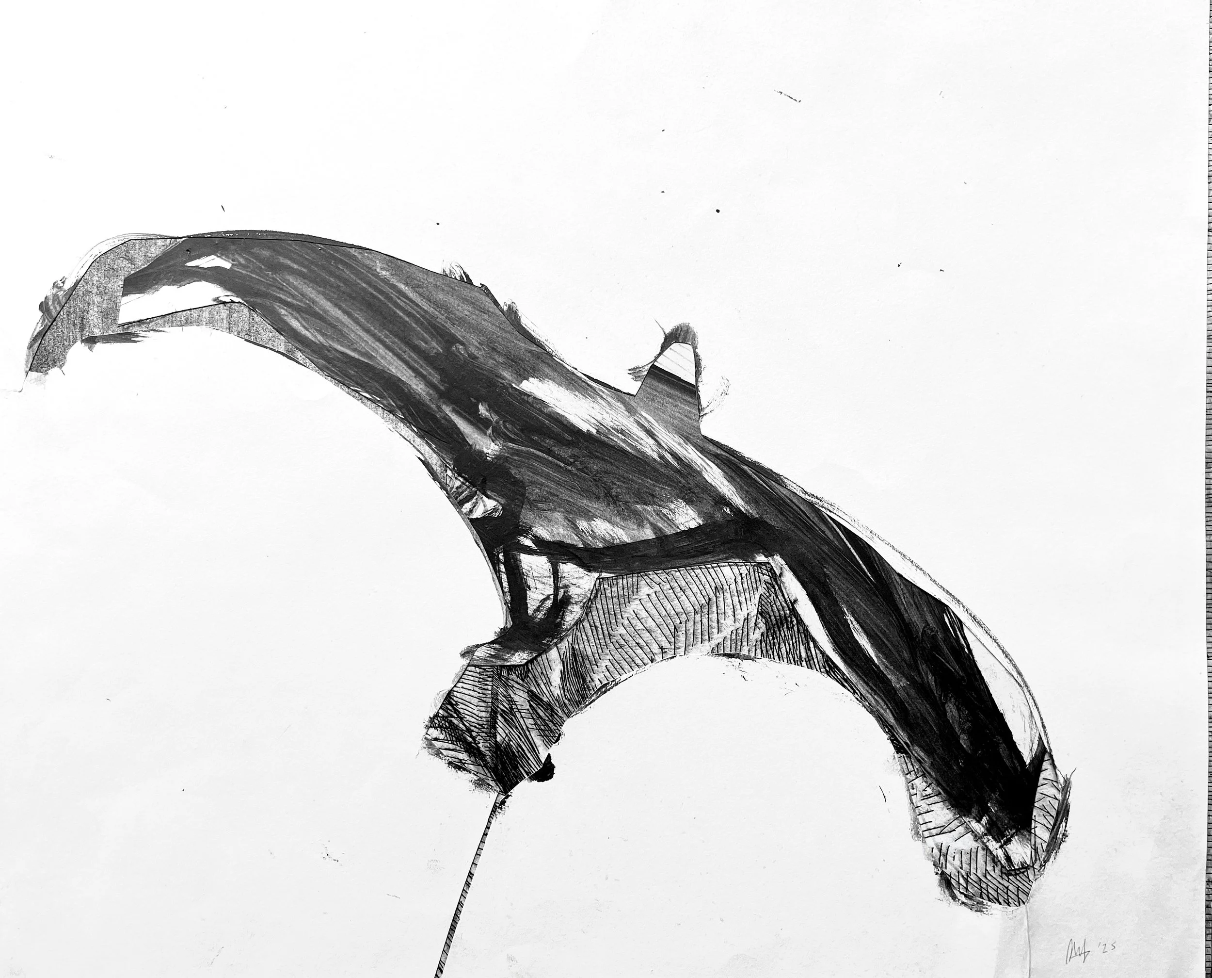 Glide III, cut out paper over etching and graphite drawings, 14 x 17 inches, $350.