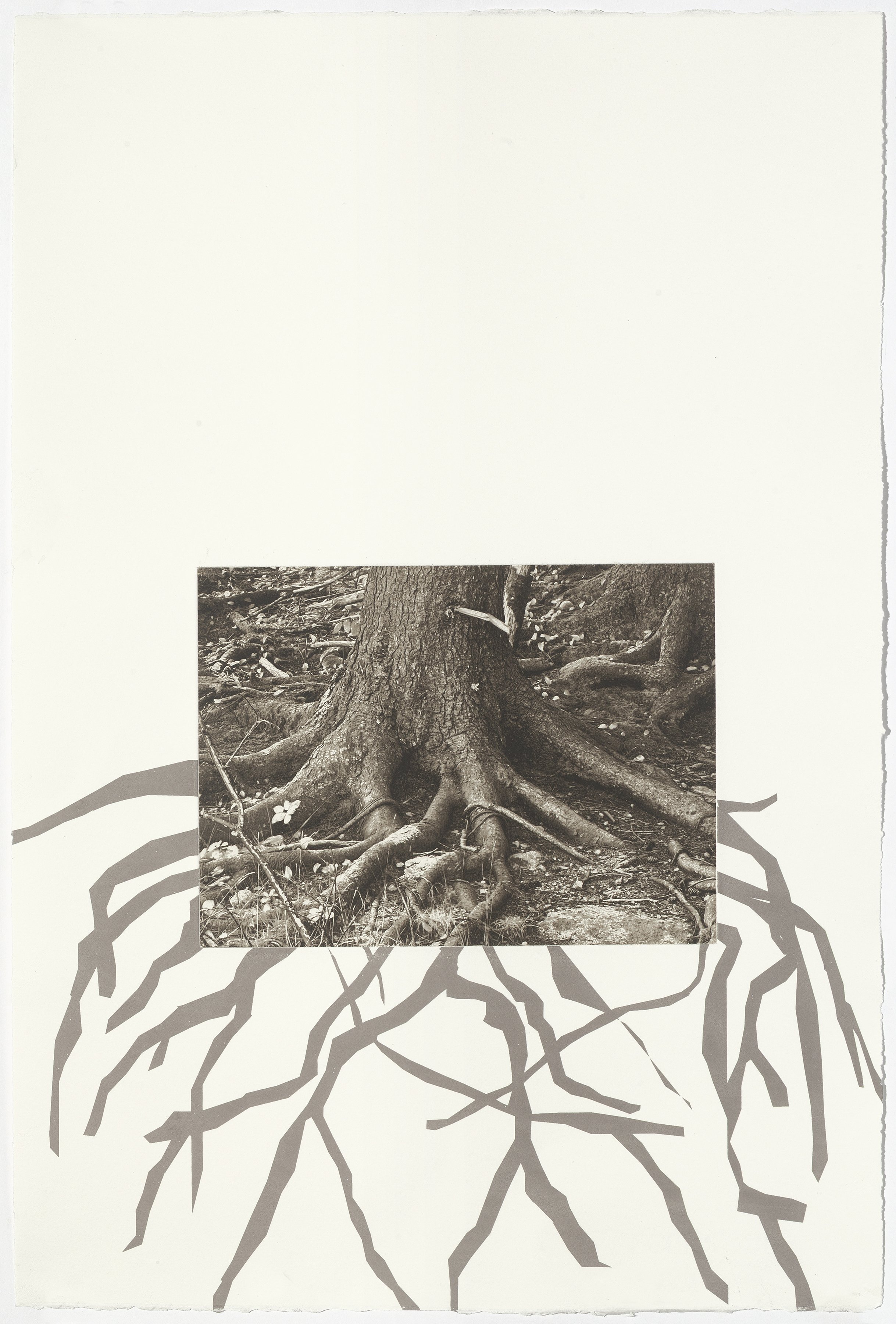 Acadia 6, 22-1/2” x 15”, photogravure with screenprint, 2025