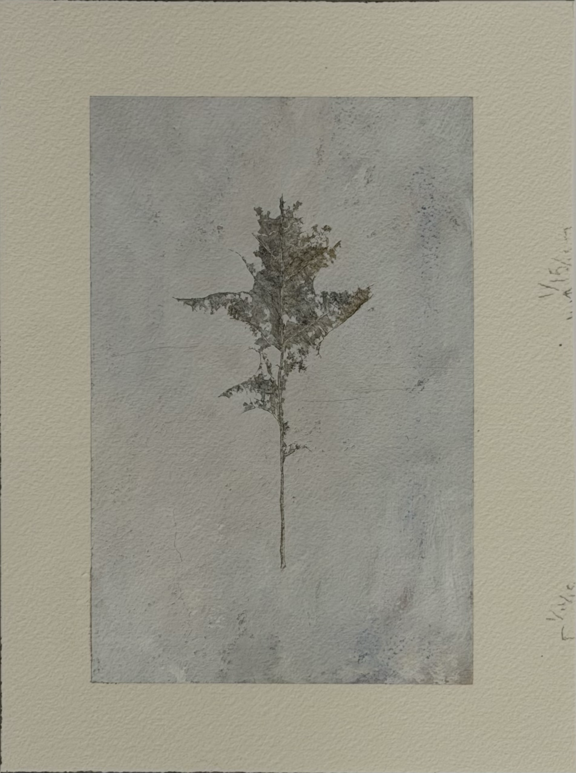 03-21-15, acrylic on paper, 350