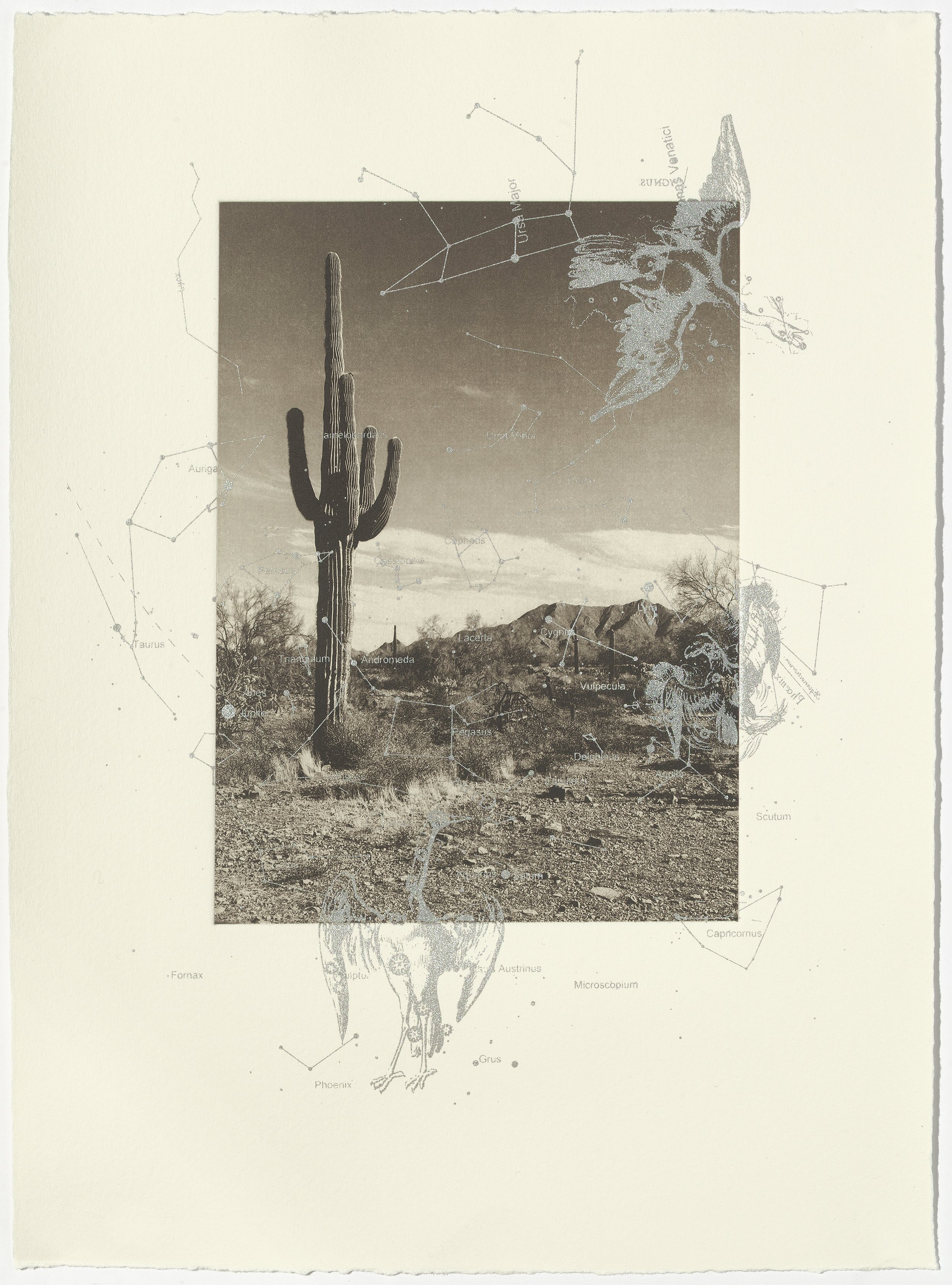 Scottsdale, 15” x 11”, photogravure with screenprint, 2025