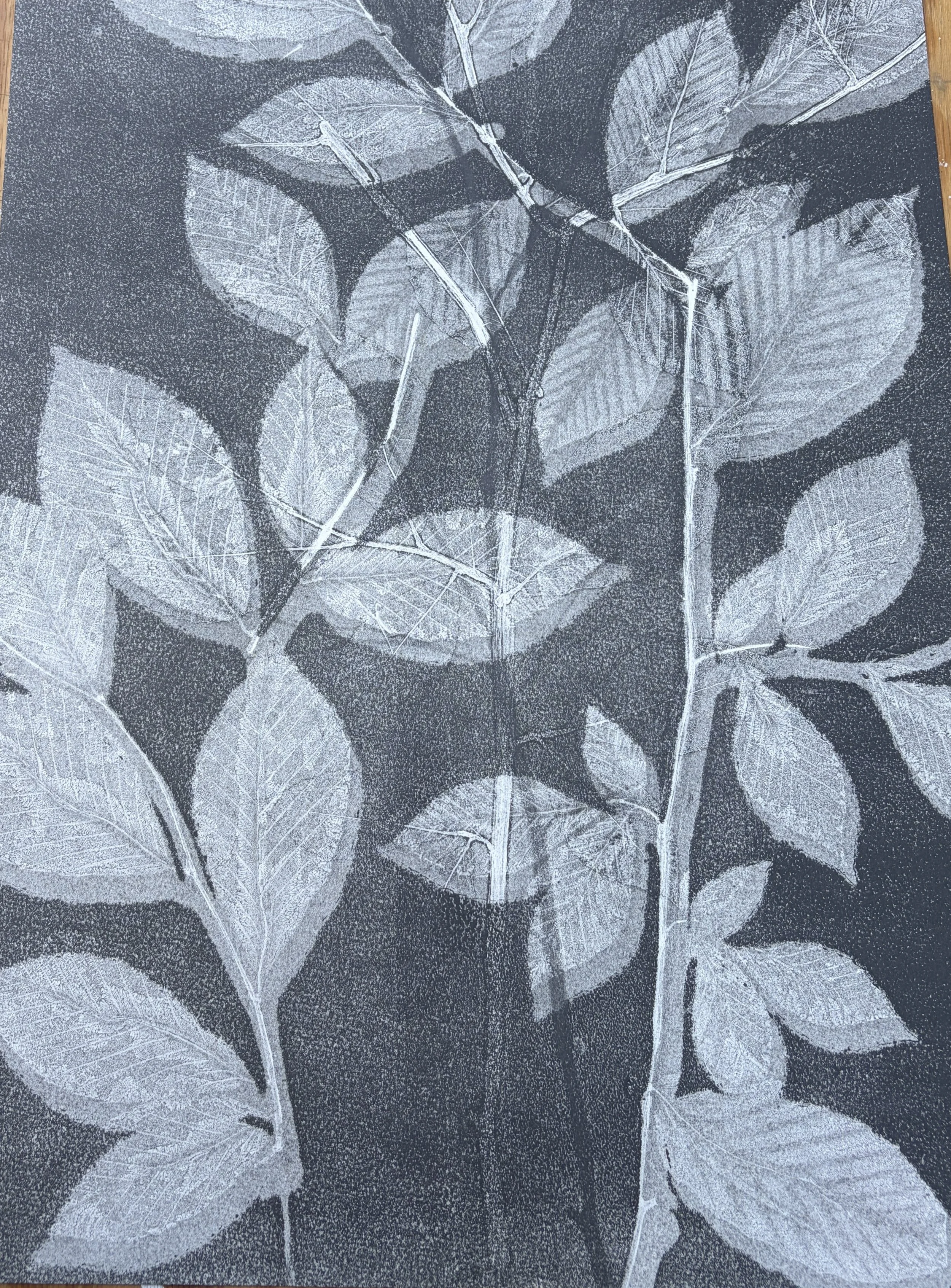 "Yardwork Beech Series #136", 2025, 19.5" x 15" inches, 600.