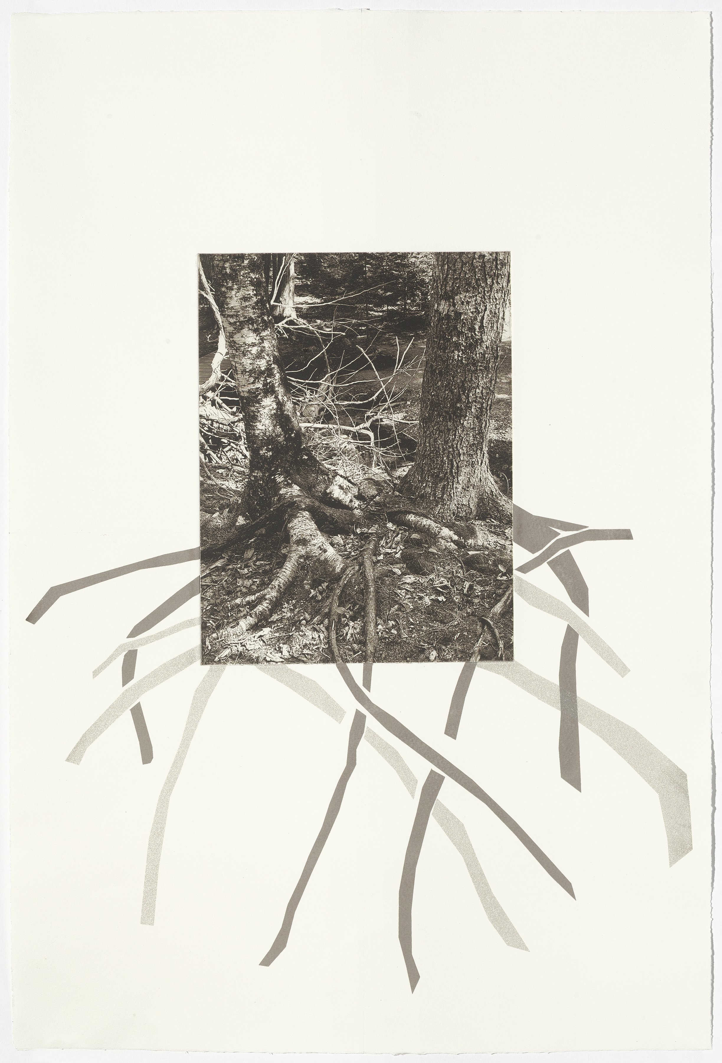 Acadia 4, 22-1/2” x 15”, photogravure with screenprint, 2025
