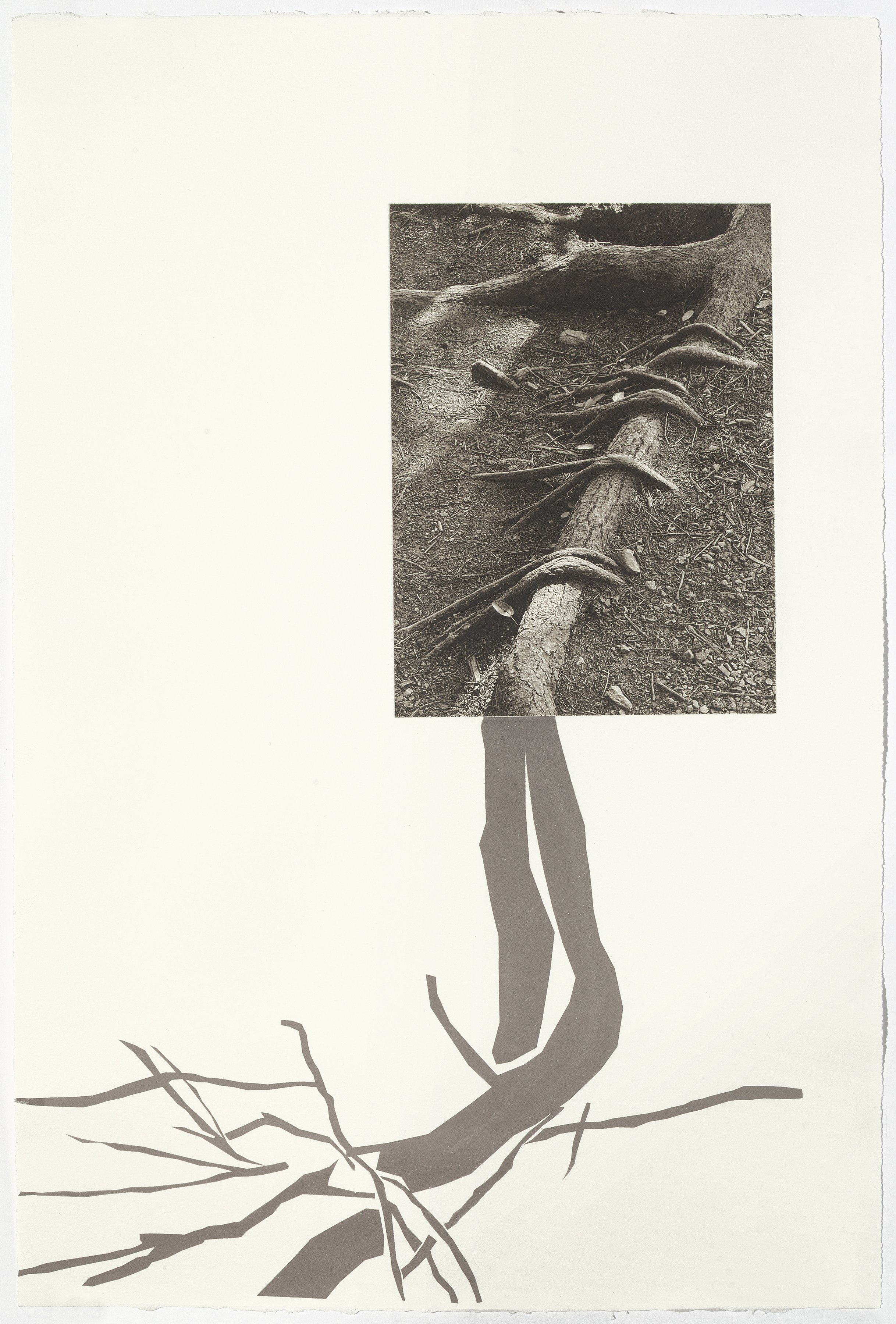 Acadia 3, 22-1/2” x 15”, photogravure with screenprint, 2025