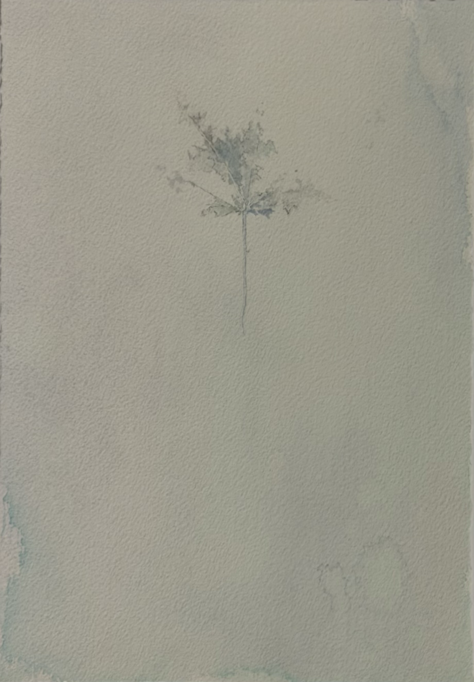 Emerline R Filer,  acrylic on paper, 350