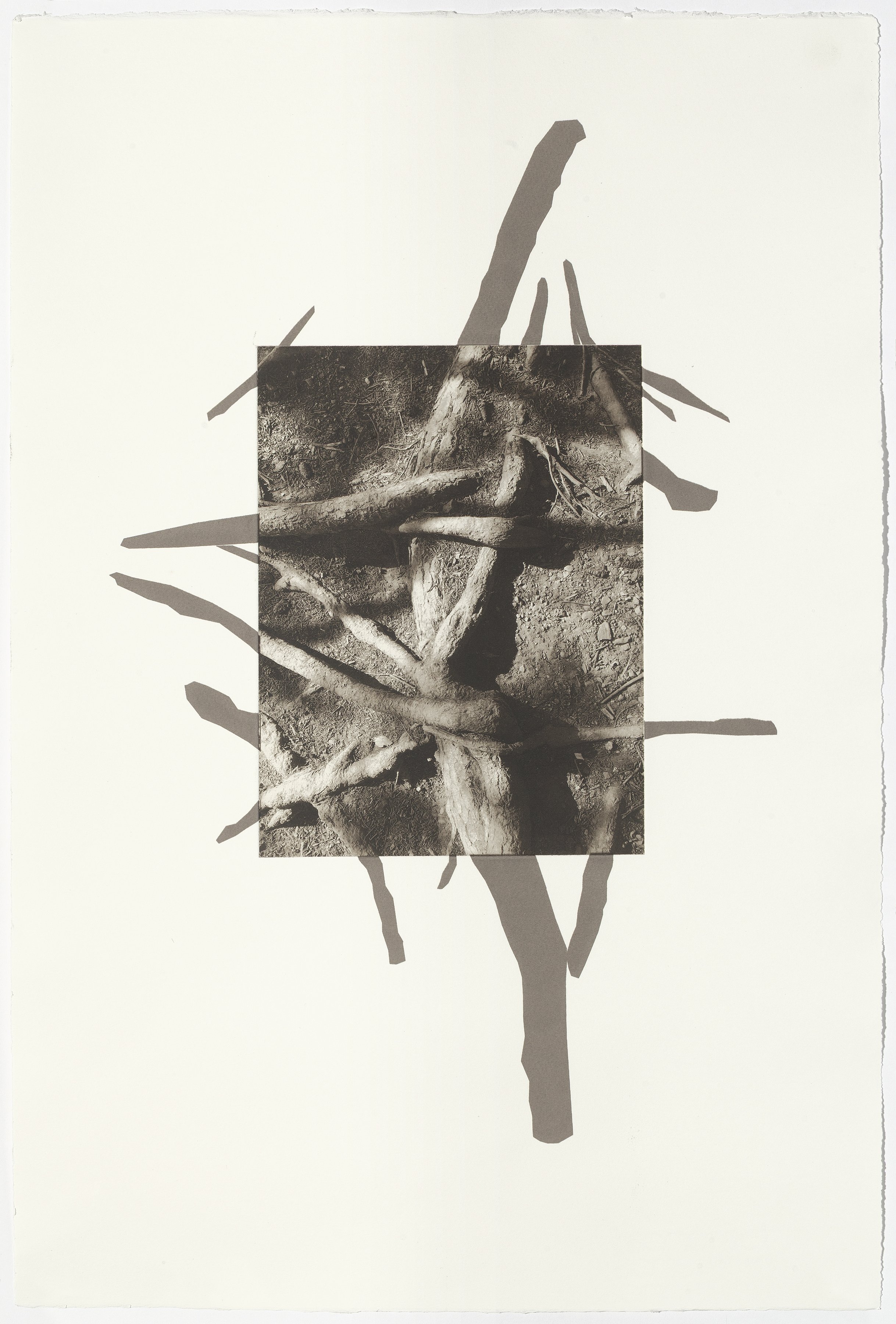 Acadia 7, 22-1/2” x 15”, photogravure with screenprint, 2025
