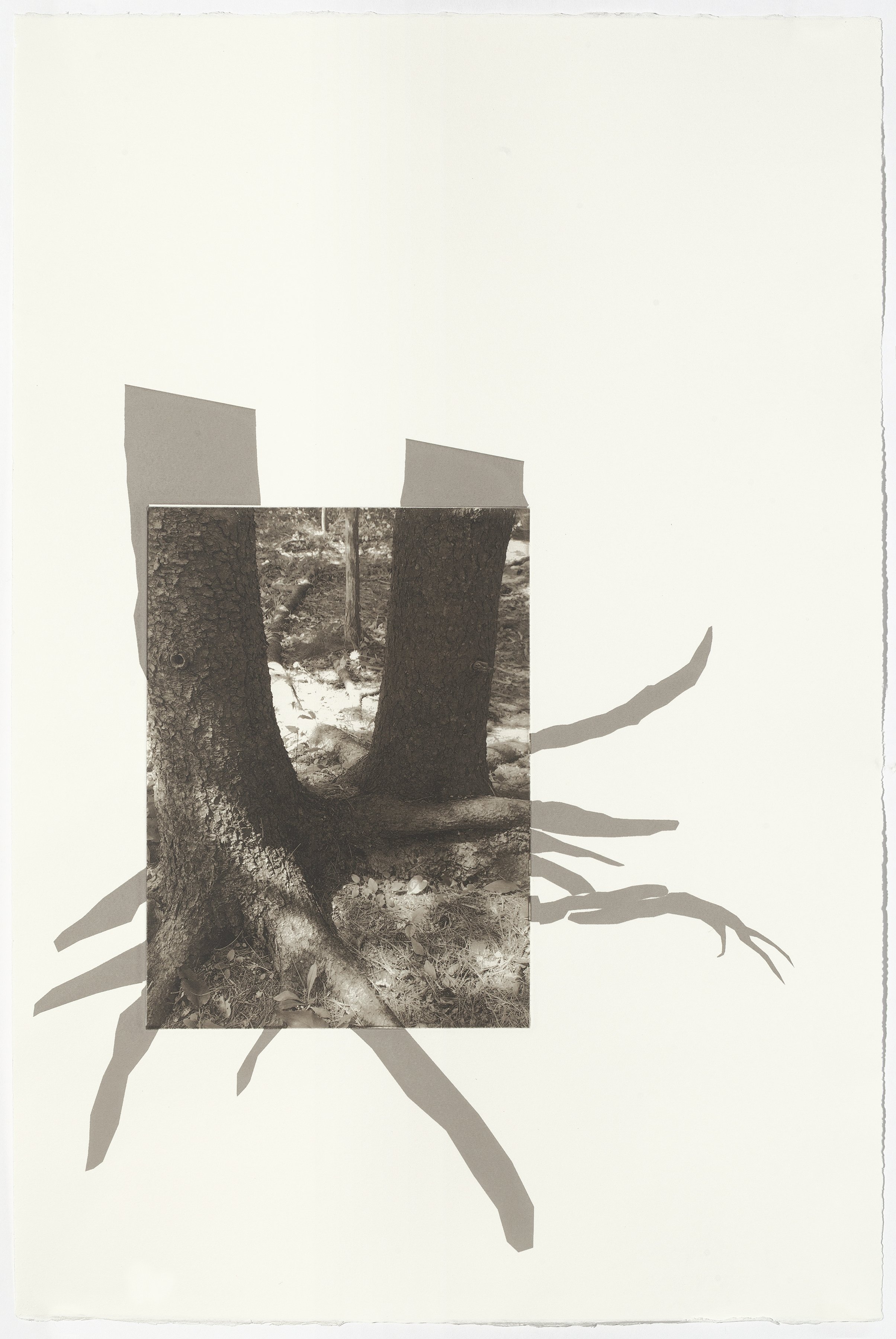 Acadia 2, 22-1/2” x 15”, photogravure with screenprint, 2025