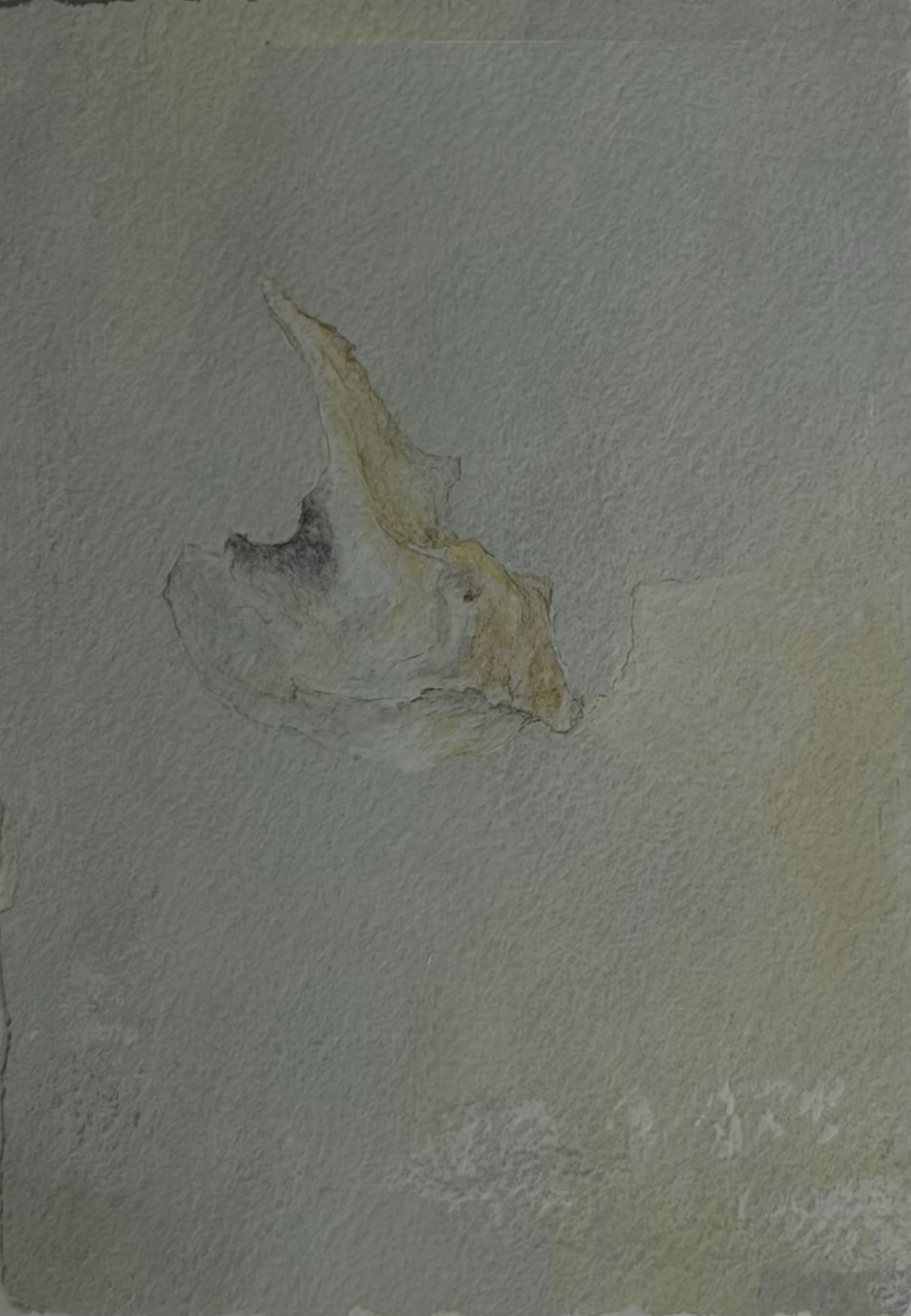 12.06.21,  acrylic on paper, 275