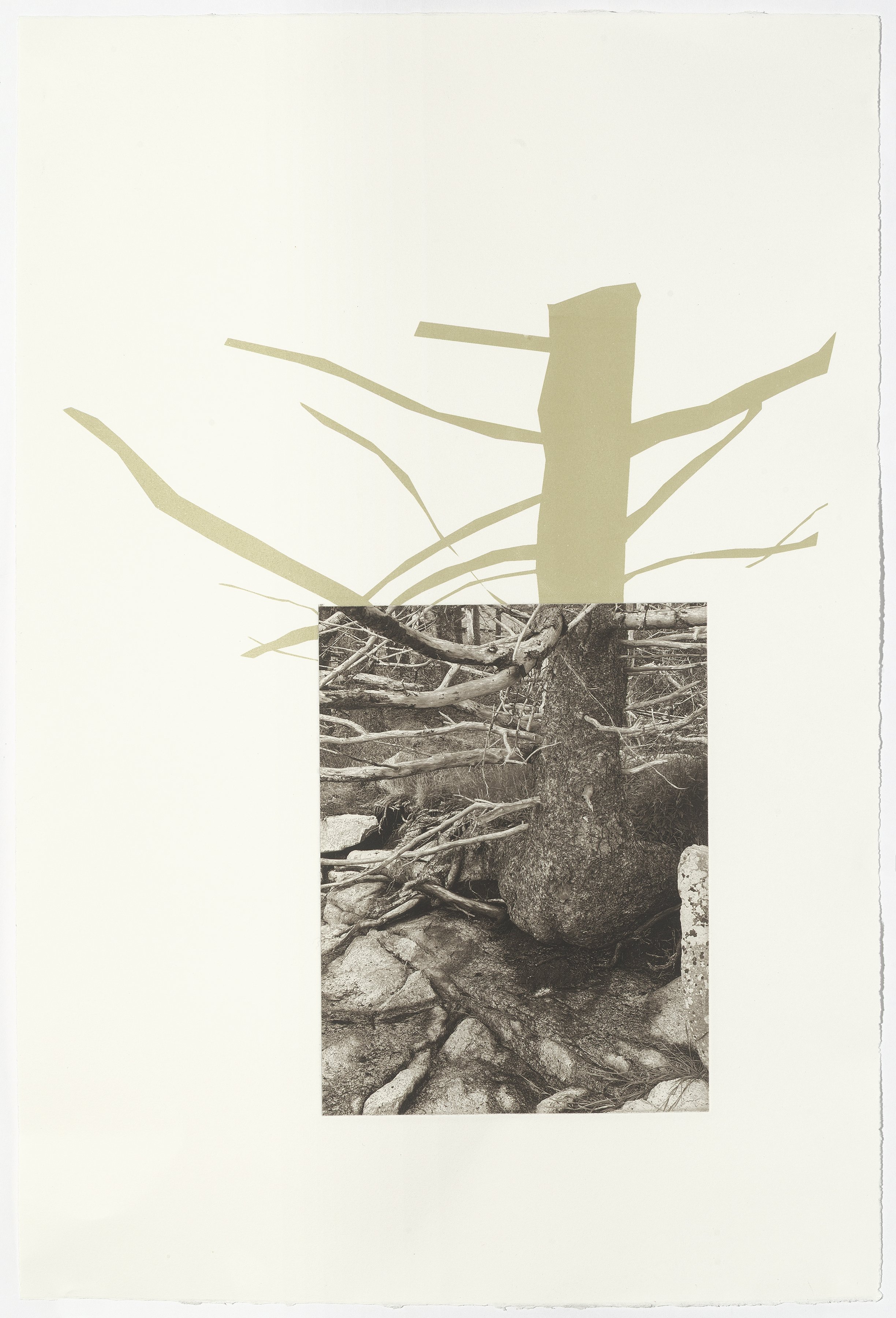 Acadia 5, 22-1/2” x 15”, photogravure with screenprint, 2025