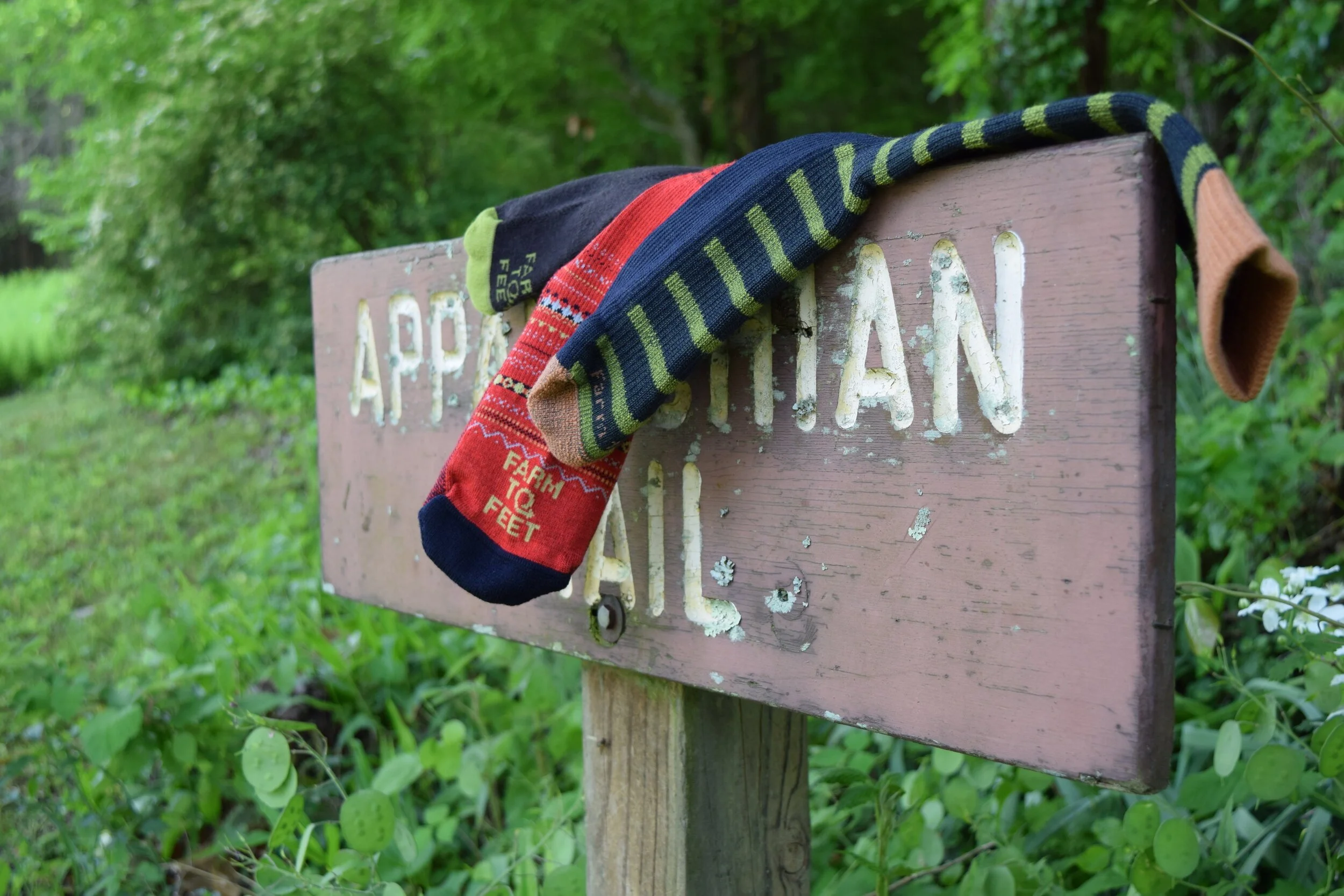 What I Learned Creating a New Brand