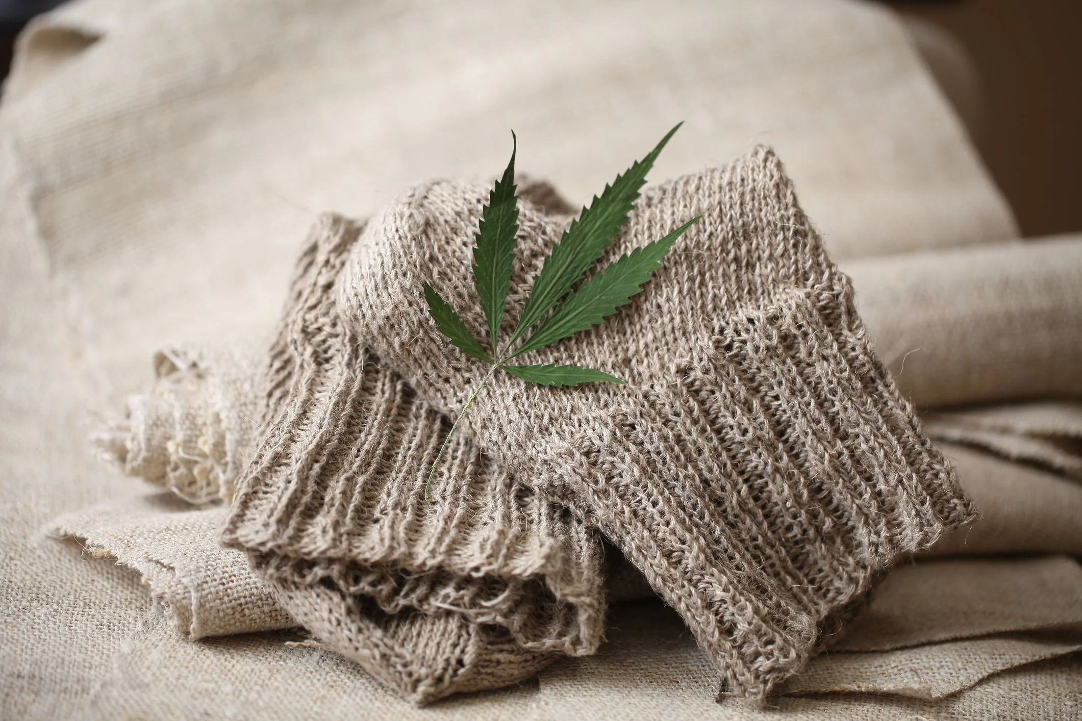 Cynosura Consulting to Lead Panel Discussion on the Evolving Hemp Landscape at the Textile Exchange Conference